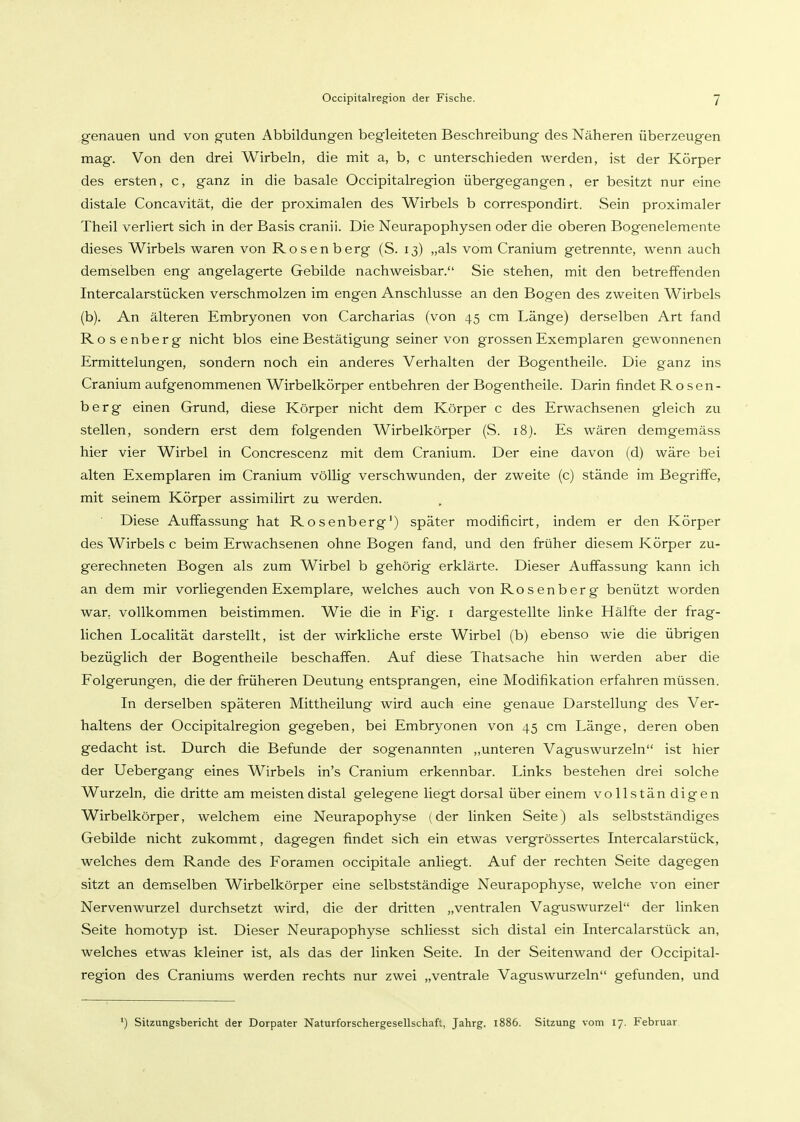 genauen und von guten Abbildungen begleiteten Beschreibung des Näheren überzeugen mag. Von den drei Wirbeln, die mit a, b, c unterschieden werden, ist der Körper des ersten, c, ganz in die basale Occipitalregion übergegangen, er besitzt nur eine distale Concavität, die der proximalen des Wirbels b correspondirt. Sein proximaler Theil verliert sich in der Basis cranii. Die Neurapophysen oder die oberen Bogenelemente dieses Wirbels waren von Rosen berg (S. 13) „als vom Cranium getrennte, wenn auch demselben eng angelagerte Gebilde nachweisbar. Sie stehen, mit den betreffenden Intercalarstücken verschmolzen im engen Anschlüsse an den Bogen des zweiten Wirbels (b). An älteren Embryonen von Carcharias (von 45 cm Länge) derselben Art fand Rosenberg nicht blos eine Bestätigung seiner von grossen Exemplaren gewonnenen Ermittelungen, sondern noch ein anderes Verhalten der Bogentheile. Die ganz ins Cranium aufgenommenen Wirbelkörper entbehren der Bogentheile. Darin findet Rosen- berg einen Grund, diese Körper nicht dem Körper c des Erwachsenen gleich zu stellen, sondern erst dem folgenden Wirbelkörper (S. 18). Es wären demgemäss hier vier Wirbel in Concrescenz mit dem Cranium. Der eine davon (d) wäre bei alten Exemplaren im Cranium völlig verschwunden, der zweite (c) stände im Begriffe, mit seinem Körper assimilirt zu werden. ' Diese Auffassung hat Rosenberg') später modificirt, indem er den Körper des Wirbels c beim Erwachsenen ohne Bogen fand, und den früher diesem Körper zu- gerechneten Bogen als zum Wirbel b gehörig erklärte. Dieser Auffassung kann ich an dem mir vorliegenden Exemplare, welches auch von Rosen berg benützt worden war. vollkommen beistimmen. Wie die in Fig. i dargestellte linke Hälfte der frag- Hchen Localität darstellt, ist der wirkliche erste Wirbel (b) ebenso wie die übrigen bezüglich der Bogentheile beschaffen. Auf diese Thatsache hin werden aber die Folgerungen, die der früheren Deutung entsprangen, eine Modifikation erfahren müssen. In derselben späteren Mittheilung wird auch eine genaue Darstellung des Ver- haltens der Occipitalregion gegeben, bei Embryonen von 45 cm Länge, deren oben gedacht ist. Durch die Befunde der sogenannten „unteren Vaguswurzeln ist hier der Uebergang eines Wirbels in's Cranium erkennbar. Links bestehen drei solche Wurzeln, die dritte am meisten distal gelegene liegt dorsal über einem vollstän digen Wirbelkörper, welchem eine Neurapophyse (der linken Seite) als selbstständiges Gebilde nicht zukommt, dagegen findet sich ein etwas vergrössertes Intercalarstück, welches dem Rande des Foramen occipitale anliegt. Auf der rechten Seite dagegen sitzt an demselben Wirbelkörper eine selbstständige Neurapophyse, welche von einer Nervenwurzel durchsetzt wird, die der dritten „ventralen Vaguswurzel der linken Seite homotyp ist. Dieser Neurapophyse schliesst sich distal ein Intercalarstück an, welches etwas kleiner ist, als das der linken Seite. In der Seitenwand der Occipital- region des Craniums werden rechts nur zwei „ventrale Vaguswurzeln gefunden, und ') Sitzungsbericht der Dorpater Naturforschergesellschaft, Jahrg. 1886. Sitzung vom 17. Februar