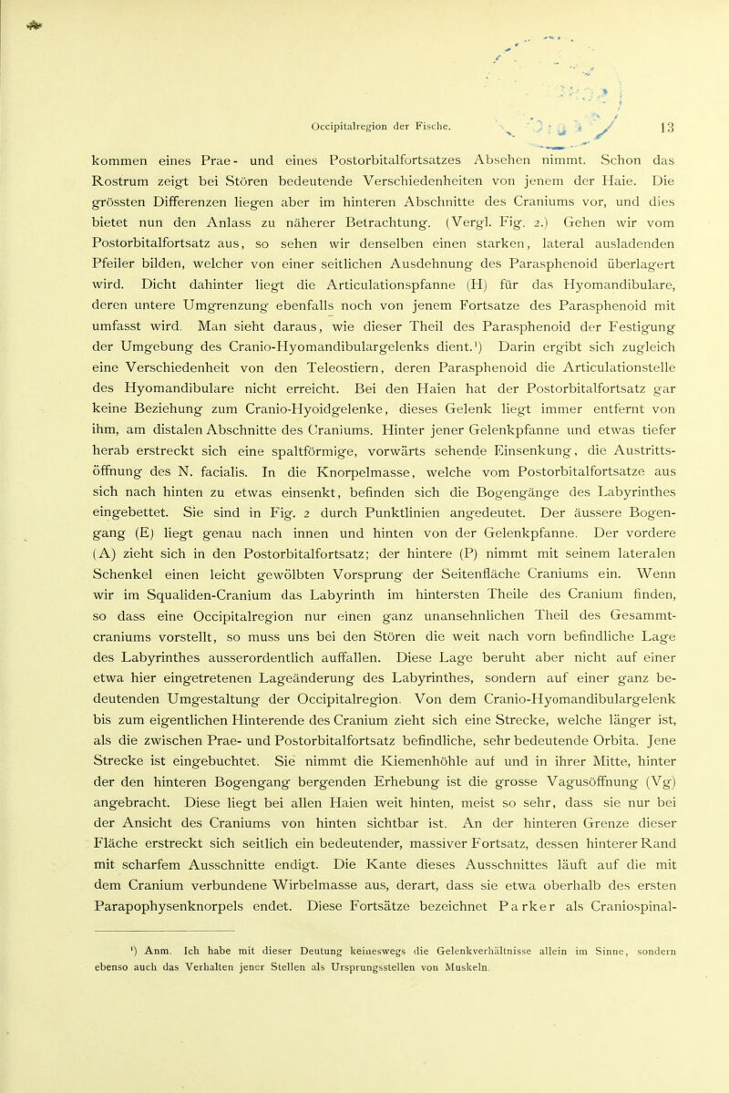 : ■■ > \ ■ ■ ) Occipitalregion der Fische. - . • ^ , ^ J3 kommen eines Prae- und eines Postorbitalfortsatzes Absehen nimmt. Schon das Rostrum zeigt bei Stören bedeutende Verschiedenheiten von jenem der Haie. Die grössten Differenzen liegen aber im hinteren Abschnitte des Craniums vor, und dies bietet nun den Anlass zu näherer Betrachtung. (Vergl. Fig. 2.) Gehen wir vom Postorbitalfortsatz aus, so sehen wir denselben einen starken, lateral ausladenden Pfeiler bilden, welcher von einer seitlichen Ausdehnung des Parasphenoid überlagert wird. Dicht dahinter liegt die Articulationspfanne (H) für das Hyomandibulare, deren untere Umgrenzung ebenfalls noch von jenem Fortsatze des Parasphenoid mit umfasst wird. Man sieht daraus, wie dieser Theil des Parasphenoid der Festigung der Umgebung des Cranio-Hyomandibulargelenks dient.') Darin ergibt sich zugleich eine Verschiedenheit von den Teleostiern, deren Parasphenoid die Articulationstelle des Hyomandibulare nicht erreicht. Bei den Haien hat der Postorbitalfortsatz gar keine Beziehung zum Cranio-Hyoidgelenke, dieses Gelenk liegt immer entfernt von ihm, am distalen Abschnitte des Craniums. Hinter jener Gelenkpfanne und etwas tiefer herab erstreckt sich eine spaltförmige, vorwärts sehende Einsenkung, die Austritts- öffnung des N. facialis. In die Knorpelmasse, welche vom Postorbitalfortsatze aus sich nach hinten zu etwas einsenkt, befinden sich die Bogengänge des Labyrinthes eingebettet. Sie sind in Fig. 2 durch Punktlinien angedeutet. Der äussere Bogen- gang (Ej liegt genau nach innen und hinten von der Gelenkpfanne. Der vordere (A) zieht sich in den Postorbitalfortsatz; der hintere (P) nimmt mit seinem lateralen Schenkel einen leicht gewölbten Vorsprung der Seitenfläche Craniums ein. Wenn wir im Squaliden-Cranium das Labyrinth im hintersten Theile des Cranium finden, so dass eine Occipitalregion nur einen ganz unansehnlichen Theil des Gesammt- craniums vorstellt, so muss uns bei den Stören die weit nach vorn befindliche Lage des Labyrinthes ausserordentlich auffallen. Diese Lage beruht aber nicht auf einer etwa hier eingetretenen Lageänderung des Labyrinthes, sondern auf einer ganz be- deutenden Umgestaltung der Occipitalregion. Von dem Cranio-Hyomandibulargelenk bis zum eigentlichen Hinterende des Cranium zieht sich eine Strecke, welche länger ist, als die zwischen Prae- und Postorbitalfortsatz befindliche, sehr bedeutende Orbita. Jene Strecke ist eingebuchtet. Sie nimmt die Kiemenhöhle auf und in ihrer Mitte, hinter der den hinteren Bogengang bergenden Erhebung ist die grosse Vagusöffnung (Vg) angebracht. Diese liegt bei allen Haien weit hinten, meist so sehr, dass sie nur bei der Ansicht des Craniums von hinten sichtbar ist. An der hinteren Grenze dieser Fläche erstreckt sich seitlich ein bedeutender, massiver Fortsatz, dessen hinterer Rand mit scharfem Ausschnitte endigt. Die Kante dieses Ausschnittes läuft auf die mit dem Cranium verbundene Wirbelmasse aus, derart, dass sie etwa oberhalb des ersten Parapophysenknorpels endet. Diese Fortsätze bezeichnet Parker als Craniospinal- ') Anm. Ich habe mit dieser Deutung keineswegs die Gelenkverhältnisse allein im Sinne, sondern ebenso auch das Verhalten jener Stellen als Ursprungsstellen von Muskeln.