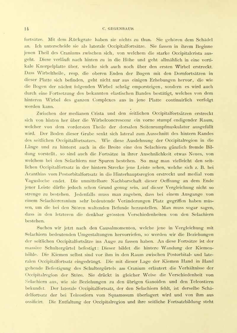 fortsätze. Mit dem .Rückgrate haben sie nichts zu thun. Sie gehören dem Schädel an. Ich unterscheide sie als laterale Occipitalfortsätze. Sie fassen in ihrem Beginne jenen Theil des Craniums zwischen sich, von welchem die starke Occipitalcrista aus- geht. Diese verläuft nach hinten zu in die Höhe und geht allmählich in eine verti- kale Knorpelplatte über, welche sich auch noch über den ersten Wirbel erstreckt. Dass Wirbeltheile, resp. die oberen Enden der Bogen mit den Dornfortsätzen in dieser Platte sich befinden, geht nicht nur aus einigen Erhebungen hervor, die wie die Bogen der nächst folgenden Wirbel schräg emporsteigen, sondern es wird auch durch eine Eortsetzung des bekannten elastischen Bandes bestätigt, welches von dem hinteren Wirbel des ganzen Complexes aus in jene Platte continuirlich verfolgt werden kann. Zwischen der medianen Crista und den seitlichen Occipitalfortsätzen erstreckt sich von hinten her über die Wirbelconcrescenz ein vorne stumpf endigender Raum, welcher von dem vordersten Theile der dorsalen Seitenrumpfmuskulatur ausgefüllt wird. Der Boden dieser Grube senkt sich lateral zum Ausschnitt des hintern Randes des seithchen Occipitalfortsatzes. Wie diese Ausdehnung der Occipitalregion in die Länge und zu hinterst auch in die Breite eine den Selachiern gänzlich fremde Bil- dung vorstellt, so sind auch die Fortsätze in ihrer Ansehnlichkeit etwas Neues, von welchem bei den Selachiern nur Spuren bestehen. So mag man vielleicht den seit- lichen Occipitalfortsatz in der hintern Strecke jene Leiste sehen, welche sich z. B. bei Acanthias vom Postorbitalfortsatz in die Hinterhauptsregion erstreckt und medial vom Vagusloche endet. Die unmittelbare Nachbarschaft dieser Oeffnung an dem Ende jener Leiste dürfte jedoch schon Grund genug sein, auf dieser Vergleichung nicht so strenge zu bestehen. Jedenfalls muss man zugeben, dass bei einem Ausgange von einem Selachiercranium sehr bedeutende Veränderungen Platz gegriffen haben müs- sen, um die bei den Stören waltenden Befunde herzustellen. Man muss sogar sagen, dass in den letzteren die denkbar grössten Verschiedenheiten von den Selachiern bestehen. Suchen wir jetzt nach den Causalmomenten, welche jene in Vergleichung mit Selachiern bedeutenden Umgestaltungen hervorriefen, so werden wir die Beziehungen der seitlichen Occipitalfortsätze ins Auge zu fassen haben. An diese Fortsätze ist der massive Schultergürtel befestigt: Dieser bildet die hintere Wandung der Kiemen- höhle. Die Kiemen selbst sind vor ihm in den Raum zwischen Postorbital- und late- ralen Occipitalfortsatz eingedrängt. Die mit dieser Lage der Kiemen Hand in Hand gehende Befestigung des Schultergürtels am Cranium erläutert die Verhältnisse der Occipitalregion der Störe. Sie drückt in gleicher Weise die Verschiedenheit von Selachiern aus, wie sie Beziehungen zu den übrigen Ganoiden und den Teleostiern bekundet. Der laterale Occipitalfortsatz, der den Selachiern fehlt, ist derselbe Schä- delfortsatz der bei Teleostiern vom Squamosum überlagert wird und von ihm aus ossificirt. Die Entfaltung der Occipitalregion und ihre seitliche Fortsatzbildung steht