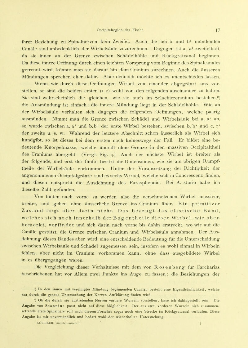 ihrer Beziehung zu Spinalnerven kein Zweifel. Auch die bei b und b^ mündenden Canäle sind unbedenklich der Wirbelsäule zuzurechnen. Dagegen ist a, a^ zweifelhaft, da sie innen an der Grenze zwischen Schädelhöhle und Rückgratcanal beginnen. Da diese innere Oeffnung durch einen leichten Vorsprung vom Beginne des Spinalcanales getrennt wird, könnte man sie darauf hin dem Cranium zurechnen. Auch die äusseren Mündungen sprechen eher dafür. Aber dennoch möchte ich es unentschieden lassen. Wenn wir durch diese Oeffnungen Wirbel von einander abgegränzt uns vor- stellen, so sind die beiden ersten (i 2) wohl von den folgenden auseinander zu halten. Sie sind wahrscheinlich die gleichen, wie sie auch im Selachiercranium bestehen,^) die Ausmündung ist einfach; die innere Mündung liegt in der Schädelhöhle. Wie an der Wirbelsäule verhalten sich dagegen die folgenden Oeffnungen, welche paarig ausmünden. Nimmt man die Grenze zwischen Schädel und Wirbelsäule bei a, a' an, so würde zwischen a, a' und b, b' der erste Wirbel bestehen, zwischen b, b' und c, c' der zweite u. s. w. Während der letztere Abschnitt schon äusserlich als Wirbel sich kundgibt, so ist dieses bei dem ersten noch keineswegs der Fall. Er bildet eine be- deutende Knorpelmasse, welche überall ohne Grenze in den massiven Occipitaltheil des Craniums übergeht. (Vergl. Fig. 3.) Auch der nächste Wirbel ist breiter als der folgende, und erst der fünfte besitzt die Dimensionen, wie sie am übrigen Rumpf- theile der Wirbelsäule vorkommen. Unter der Voraussetzung der Richtigkeit der angenommenen Occipitalgränze sind es sechs Wirbel, welche sich in Concrescenz finden, und diesen entspricht die Ausdehnung des Parasphenoid. Bei A. sturio habe ich dieselbe Zahl gefunden. Von hinten nach vorne zu werden also die verschmolzenen Wirbel massiver, breiter, und gehen ohne äusserliche Grenze ins Cranium über. Ein primitiver Zustand liegt aber darin nicht. Das bezeugt das elastische Band, welches sich noch innerhalb d er B o g e nth e ile dieser Wirbel, wie oben bemerkt, vorfindet und sich darin nach vorne bis dahin erstreckt, wo wir auf die Canäle gestützt, die Grenze zwischen Cranium und Wirbelsäule annahmen. Der Aus- dehnung dieses Bandes aber wird eine entscheidende Bedeutung für die Unterscheidung zwischen Wirbelsäule und Schädel zugemessen sein, insofern es wohl einmal in Wirbeln fehlen, aber nicht im Cranium vorkommen kann, ohne dass ausgebildete Wirbel in es übergegangen wären. Die Vergleichung dieser Verhältnisse mit dem von Rosenberg für Carcharias beschriebenen hat vor Allem zwei Punkte ins Auge zu fassen: die Beziehungen der ') In den innen mit vereinigter Mündung beginnenden Canälen besteht eine Eigenthümlichkeit, welche nur durch die genaue Untersuchung der Nerven Auflilärung finden wird. ') Ob die durch sie austretenden Nerven vordere Wurzeln vorstellen, lasse ich dahingestellt sein. Die Angabe von Stannius passt nicht auf diese Möglichkeit. Der aus zwei vorderen Wurzeln sich zusammen- setzende erste Spinalnerv soll nach diesem Forscher sogar noch eine Strecke im Rückgratcanal verlaufen Diese Angabe ist mir unverständlich und bedarf wohl der wiederholten Untersuchung. KÜLLIKER, Gratulationsschrift. ' 3