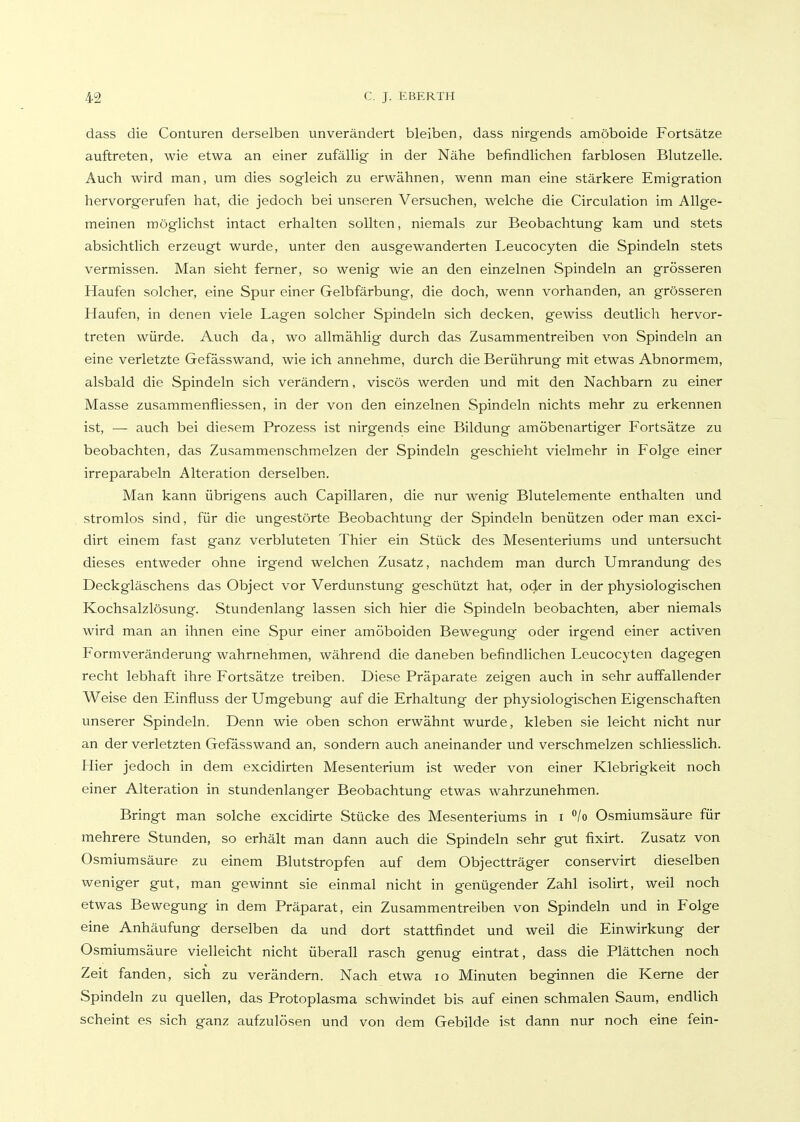 dass die Conturen derselben unverändert bleiben, dass nirgends amöboide Fortsätze auftreten, wie etwa an einer zufällig in der Nähe befindlichen farblosen Blutzelle. Auch wird man, um dies sogleich zu erwähnen, wenn man eine stärkere Emigration hervorgerufen hat, die jedoch bei unseren Versuchen, welche die Circulation im Allge- meinen möglichst intact erhalten sollten, niemals zur Beobachtung kam und stets absichtlich erzeugt wurde, unter den ausgewanderten I.eucocyten die Spindeln stets vermissen. Man sieht ferner, so wenig wie an den einzelnen Spindeln an grösseren Haufen solcher, eine Spur einer Gelbfärbung, die doch, wenn vorhanden, an grösseren Haufen, in denen viele Lagen solcher Spindeln sich decken, gewiss deutlich hervor- treten würde. Auch da, wo allmählig durch das Zusammentreiben von Spindeln an eine verletzte Gefässwand, wie ich annehme, durch die Berührung mit etwas Abnormem, alsbald die Spindeln sich verändern, viscös werden und mit den Nachbarn zu einer Masse zusammenfliessen, in der von den einzelnen Spindeln nichts mehr zu erkennen ist, — auch bei diesem Prozess ist nirgends eine Bildung amöbenartiger Fortsätze zu beobachten, das Zusammenschmelzen der Spindeln geschieht vielmehr in Folge einer irreparabeln Alteration derselben. Man kann übrigens auch Capillaren, die nur wenig Blutelemente enthalten und stromlos sind, für die ungestörte Beobachtung der Spindeln benützen oder man exci- dirt einem fast ganz verbluteten Thier ein Stück des Mesenteriums und untersucht dieses entweder ohne irgend welchen Zusatz, nachdem man durch Umrandung des Deckgläschens das Object vor Verdunstung geschützt hat, o4er in der physiologischen Kochsalzlösung. Stundenlang lassen sich hier die Spindeln beobachten, aber niemals wird man an ihnen eine Spur einer amöboiden Bewegung oder irgend einer activen Form Veränderung wahrnehmen, während die daneben befindlichen Leucocyten dagegen recht lebhaft ihre Fortsätze treiben. Diese Präparate zeigen auch in sehr auffallender Weise den Einfluss der Umgebung auf die Erhaltung der physiologischen Eigenschaften unserer Spindeln. Denn wie oben schon erwähnt wurde, kleben sie leicht nicht nur an der verletzten Gefässwand an, sondern auch aneinander und verschmelzen schliesslich. Hier jedoch in dem excidirten Mesenterium ist weder von einer Klebrigkeit noch einer Alteration in stundenlanger Beobachtung etwas wahrzunehmen. Bringt man solche excidirte Stücke des Mesenteriums in i ^/o Osmiumsäure für mehrere Stunden, so erhält man dann auch die Spindeln sehr gut fixirt. Zusatz von Osmiumsäure zu einem Blutstropfen auf dem Objectträger conservirt dieselben weniger gut, man gewinnt sie einmal nicht in genügender Zahl isolirt, weil noch etwas Bewegung in dem Präparat, ein Zusammentreiben von Spindeln und in Folge eine Anhäufung derselben da und dort stattfindet und weil die Einwirkung der Osmiumsäure vielleicht nicht überall rasch genug eintrat, dass die Plättchen noch Zeit fanden, sich zu verändern. Nach etwa lo Minuten beginnen die Kerne der Spindeln zu quellen, das Protoplasma schwindet bis auf einen schmalen Saum, endlich scheint es sich ganz aufzulösen und von dem Gebilde ist dann nur noch eine fein-