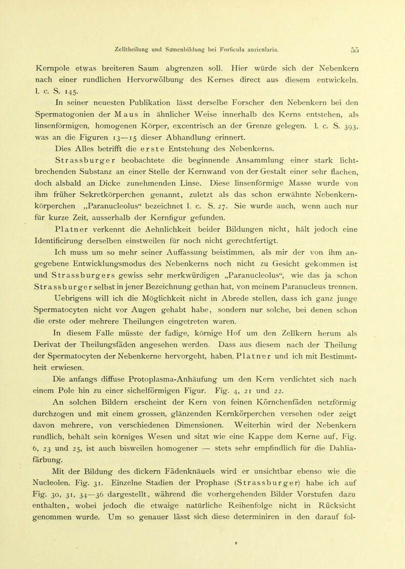 Kernpole etwas breiteren Saum abgrenzen soll. Hier würde sich der Nebenkern nach einer rundlichen Hervorwölbung des Kernes direct aus diesem entwickeln. 1. c. S. 145. In seiner neuesten Publikation lässt derselbe Forscher den Nebenkern bei den Spermatogonien der Maus in ähnlicher Weise innerhalb des Kerns entstehen, als linsenförmigen, homogenen Körper, excentrisch an der Grenze gelegen. 1. c. S. 393, was an die Figuren 13—15 dieser Abhandlung erinnert. Dies Alles betrifft die erste Entstehung des Nebenkerns. Strassburger beobachtete die beginnende Ansammlung einer stark licht- brechenden Substanz an einer Stelle der Kernwand von der Gestalt einer sehr flachen, doch alsbald an Dicke zunehmenden Linse. Diese linsenförmige Masse wurde von ihm früher Sekretkörperchen genannt, zuletzt als das schon erwähnte Nebenkern- körperchen ,,Paranucleolus bezeichnet 1. c. S. 27. Sie wurde auch, wenn auch nur für kurze Zeit, ausserhalb der Kernfigur gefunden. Platner verkennt die Aehnlichkeit beider Bildungen nicht, hält jedoch eine Identificirung derselben einstweilen für noch nicht gerechtfertigt. Ich muss um so mehr seiner Auffassung beistimmen, als mir der von ihm an- gegebene Entwicklungsmodus des Nebenkerns noch nicht zu Gesicht gekommen ist und Strassburgers gewiss sehr merkwürdigen „Paranucleolus, wie das ja schon Strassburger selbst in jener Bezeichnung gethan hat, von meinem Paranucleus trennen. Uebrigens will ich die Möglichkeit nicht in Abrede stellen, dass ich ganz junge Spermatocyten nicht vor Augen gehabt habe, sondern nur solche, bei denen schon die erste oder mehrere Theilungen eingetreten waren. In diesem Falle müsste der fadige, körnige Hof um den Zellkern herum als Derivat der Theilungsfäden angesehen werden. Dass aus diesem nach der Theilung der Spermatocyten der Nebenkerne hervorgeht, haben. Platner und ich mit Bestimmt- heit erwiesen. Die anfangs diffuse Protoplasma-Anhäufung um den Kern verdichtet sich nach einem Pole hin zu einer sichelförmigen Figur. Fig. 4, 21 und 22. An solchen Bildern erscheint der Kern von feinen Körnchenfäden netzförmig durchzogen und mit einem grossen, glänzenden Kemkörperchen versehen oder zeigt davon mehrere, von verschiedenen Dimensionen. Weiterhin wird der Nebenkern rundlich, behält sein körniges Wesen und sitzt wie eine Kappe dem Kerne auf, Fig. 6, 23 und 25, ist auch bisweilen homogener — stets sehr empfindlich für die Dahlia- farbung. Mit der Bildung des dickem Fädenknäuels wird er unsichtbar ebenso wie die Nucleolen. Fig. 31. Einzelne Stadien der Prophase (Strassburger) habe ich auf Fig. 30, 31, 34—36 dargestellt, während die vorhergehenden Bilder Vorstufen dazu enthalten, wobei jedoch die etwaige natürliche Reihenfolge nicht in Rücksicht genommen wurde. Um so genauer lässt sich diese determiniren in den darauf fol-