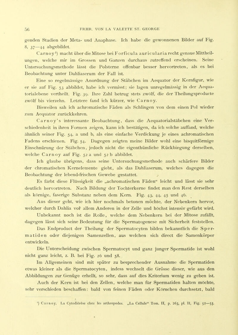 genden Stadien der Meta- und Anaphase. Ich habe die gewonnenen Bilder auf Fig. 8, 37—44 abgebildet. Carnoymacht über die Mitose bei Forficula auricularia recht genaue Mittheil- ungen, welche mir im Grossen und Ganzen durchaus zutreffend erscheinen. Seine Untersuchungsmethode lässt die Polsterne offenbar besser hervortreten, als es bei Beobachtung unter Dahliaserum der Fall ist. Eine so regelmässige Anordnung der Stäbchen im Aequator der Kernfigur, wie er sie auf Fig. 53 abbildet, habe ich vermisst; sie lagen unregelmässig in der Aequa- torialebene vertheilt. Fig. 39. Ihre Zahl betrug stets zwölf, die der Theilungsproducte zwölf bis vierzehn. Letztere fand ich kürzer, wie Carnoy. Bisweilen sah ich achromatische Fäden als Schlingen von dem einen Pol wieder zum Aequator zurückkehren. Carnoy's interessante Beobachtung, dass die Aequatorialstäbchen eine Ver- schiedenheit in ihren Formen zeigen, kann ich bestätigen, da ich solche auffand, welche ähnlich seiner Fig. 54, a und b, als eine einfache Verdickung je eines achromatischen Fadens erschienen. Fig. 54. Dagegen zeigten meine Bilder wohl eine bisquitförmige Einschnürung der Stäbchen, jedoch nicht die eigenthümliche Rückbiegung derselben, welche Carnoy auf Fig. 52 a und 52 b abbildet. Ich glaube übrigens, dass seine Untersuchungsmethode auch schärfere Bilder der chromatischen Kernelemente giebt, als das Dahliaserum, welches dagegen die Beobachtung der lebend-frischen Gewebe gestattet. Es färbt diese Flüssigkeit die „achromatischen Fäden leicht und lässt sie sehr deutlich hervortreten. Nach Bildung der Tochterkerne findet man den Rest derselben als körnige, faserige Substanz neben dem Kern. Fig. 43, 44, 45 und 46. Aus dieser geht, wie ich hier nochmals betonen möchte, der Nebenkern hervor, welcher durch Dahlia vor allem Anderen in der Zelle und höchst intensiv gefärbt wird. Unbekannt noch ist die Rolle, welche dem Nebenkern bei der Mitose zufällt, dagegen lässt sich seine Bedeutung für die Spermatogenese mit Sicherheit feststellen. Das Endproduct der Theilung der Spermatocyten bilden bekanntlich die Sper- matiden oder diejenigen Samenzellen, aus welchen sich direct die Samenkörper entwickeln. Die Unterscheidung zwischen Spermatocyt und ganz junger Spermatide ist wohl nicht ganz leicht, z. B. bei Fig. 26 und 58. Im Allgemeinen sind mit später zu besprechender Ausnahme die Spermatiden etwas kleiner als die Spermatocyten, indess wechselt die Grösse dieser, wie aus den Abbildungen zur Genüge erhellt, so sehr, dass auf dies Kriterium wenig zu geben ist. Auch der Kern ist bei den Zellen, welche man für Spermatiden halten möchte, sehr verschieden beschaffen: bald von feinen Fäden oder Körnchen durchsetzt, bald ') Carnoy. La Cytodier^se chez les arthropodes. ,,La Cellule Tom. II, p. 263, pl. II, Fig. 52—55.