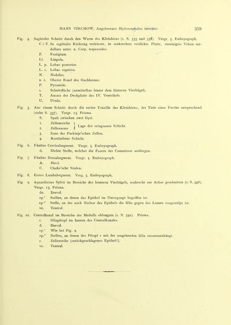 Fig. 4. Sagittaler Schnitt durch den Wurm des Kleinhirns (s. S. 335 und 338). Vergr. 5. Embryograph, C-|-V. In sagittaler Richtung verkürzte, in senkrechter verdickte Platte, vereinigtes Velum me- dulläre anter. u. Corp. trapezoides. F. Fastigium. Li. Lingula. L. p. Lobus posterior. L. s. Lobus superior. N. Nodulus. n. t. Oberer Rand des Dachkernes. P. Pyramide. s. Schnittfläche (unmittelbar hinter dem hinteren Vierhügel). T. Ansatz der Deckplatte des IV. Ventrikels. U. Uvula. Fig. 5. Aus einem Schnitt durch die rechte Tonsille des Kleinhirns, der Tiefe einer Furche entsprechend (siehe S. 337). Vergr. 13. Prisma. S. Spalt zwischen zwei Gyri. 1. Zellenreiche ) ^ ,, I Lage der reingrauen Schicht. 2. Zellenarme J & & 3. Zone der Purkinje'schen Zellen. 4. Rostfarbene Schicht. Fig. 6. Fünftes Cervicalsegment. Vergr. 5. Embryograph. d. Dichte Stelle, welcher die Fasern der Commissur ausbiegen. Fig. 7. Fünftes Dorsalsegment. Vergr. 5. Embryograph. A. Herd. C. Clarke'sche Säulen. Fig. 8. Erstes Lumbaisegment. Verg. 5. Embryograph. Fig. 9. Aquaeductus Sylvii im Bereiche des hinteren Vierhügels, senkrecht zur Achse geschnitten (s. S. 348). Vergr. 13. Prisma, do. Dorsal. ep.' Stellen, an denen das Epithel im Untergange begriflfen ist. ep. Stelle, an der nach Verlust des Epithels die Glia gegen das Lumen vorgestülpt ist. ve. Ventral. Fig. 10. Centraikanal im Bereiche der Medulla oblongata (s. S. 349). Prisma. c. Gliapfropf im Innern des Centralkanales. d. Dorsal. ep ' Wie bei Fig. g. ep. Stellen, an denen der Pfropf c mit der umgebenden Glia zusammenhängt, r. Zellenreihe (zurückgeschlagenes Epithel.?), ve. Ventral.