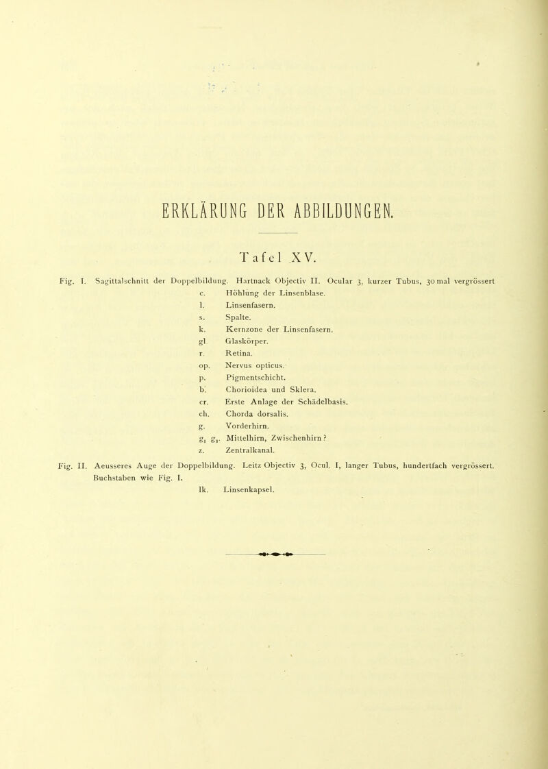 ERKLÄRUNG DER ABBILDUNGEN. Tafel .XV. Fig. I. Sagittalschnitt der Doppelbildung. Hartnack Objectiv II. Ocular 3, kurzer Tubus, 30 mal vergrössert c. Höhlung der Linsenblase. 1. Linsenfasern. s. Spalte. k. Kernzone der Linsenfasern. gl Glaskörper. r. Retina. op. Nervus opticus.- P- Pigmentschicht. b. Chorioidea und Sklera. er. Erste Anlage der Schädelbasis. ch. Chorda dorsalis. g- Vorderhirn. gl gl- Mittelhirn, Zwischenhirn ? z. Zentralkanal. Fig. II. Aeusseres Auge der Doppelbildung. Leitz Objectiv 3, Ocul, I, langer Tubus, hundertfach vergrössert. Buchstaben wie Fig. I. Ik. Linsenkapsel.