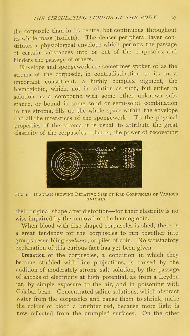 the corpuscle than in its centre, but continuous throughout its whole mass (Rollett). The denser peripheral layer con- stitutes a physiological envelope which permits the passage of certain substances into or out of the corpuscles, and hinders the passage of others. Envelope and spongework are sometimes spoken of as the stroma of the corpuscle, in contradistinction to its most important constituent, a highly complex pigment, the haemoglobin, which, not in solution as such, but either in solution as a compound with some other unknown sub- stance, or bound in some solid or semi-solid combination to the stroma, fills up the whole space within the envelope and all the interstices of the spongework. To the physical properties of the stroma it is usual to attribute the great elasticity of the corpuscles—that is, the power of recovering --El&nhant OOSl^-mm ^ Mitn -0 011 \ Cat -0 065 \A Shee/i -OOJO 'l\ Musk-deer -00 25 Fig. I.—Diagram showing Relative Size of Red Corpuscles of Various Animals. their original shape after distortion—for their elasticity is no wise impaired by the removal of the haemoglobin. When blood with disc-shaped corpuscles is shed, there is a great tendency for the corpuscles to run together into groups resembling rouleaux, or piles of coin. No satisfactory explanation of this curious fact has yet been given. Crenation of the corpuscles, a condition in which they become studded with fine projections, is caused by the addition of moderately strong salt solution, by the passage, of shocks of electricity at high potential, as from a Leyden jar, by simple exposure to the air, ,and in poisoning with Calabar bean. Concentrated saline solutions, which abstract water from the corpuscles and cause them to shrink, make the colour of blood a brighter red, because more light is now reflected from the crumpled surfaces. On the other