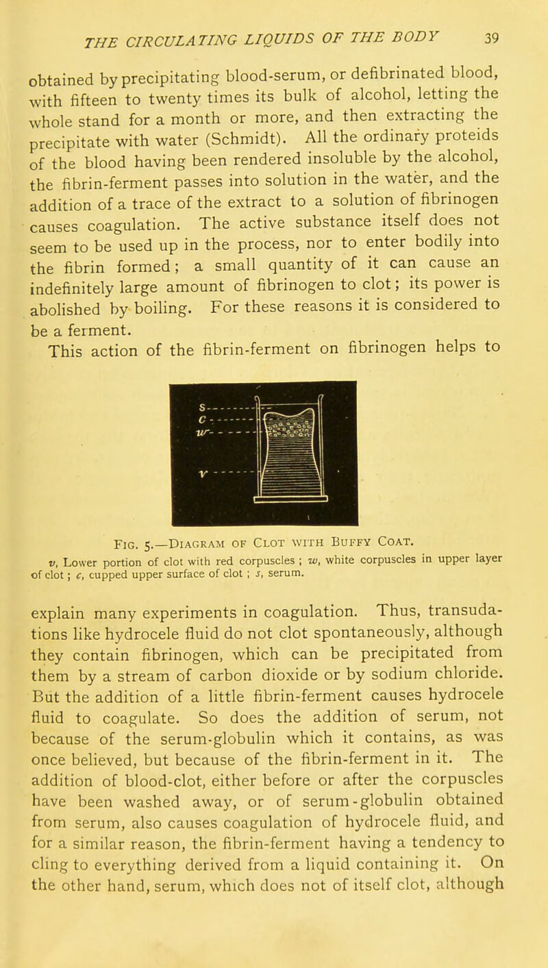 obtained by precipitating blood-serum, or defibrinated blood, with fifteen to twenty times its bulk of alcohol, letting the whole stand for a month or more, and then extracting the precipitate with water (Schmidt). All the ordinary proteids of the blood having been rendered insoluble by the alcohol, the fibrin-ferment passes into solution in the water, and the addition of a trace of the extract to a solution of fibrinogen causes coagulation. The active substance itself does not seem to be used up in the process, nor to enter bodily into the fibrin formed; a small quantity of it can cause an indefinitely large amount of fibrinogen to clot; its power is abolished by boiling. For these reasons it is considered to be a ferment. This action of the fibrin-ferment on fibrinogen helps to Fig. 5.—Diagram of Clot with Buffy Coat. V, Lower portion of clot with red corpuscles ; w, white corpuscles in upper layer of clot; c, cupped upper surface of clot ; J, serum. explain many experiments in coagulation. Thus, transuda- tions Hke hydrocele fluid do not clot spontaneously, although they contain fibrinogen, which can be precipitated from them by a stream of carbon dioxide or by sodium chloride. But the addition of a little fibrin-ferment causes hydrocele fluid to coagulate. So does the addition of serum, not because of the serum-globulin which it contains, as was once believed, but because of the fibrin-ferment in it. The addition of blood-clot, either before or after the corpuscles have been washed away, or of serum-globulin obtained from serum, also causes coagulation of hydrocele fluid, and for a similar reason, the fibrin-ferment having a tendency to cling to everything derived from a liquid containing it. On the other hand, serum, which does not of itself clot, although