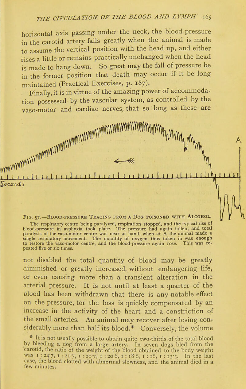 horizontal axis passing under the neck, the blood-pressure in the carotid artery falls greatly when the animal is made to assume the vertical position with the head up, and either rises a little or remains practically unchanged when the head is made to hang down. So great may the fall of pressure be in the former position that death may occur if it be long maintained (Practical Exercises, p. 187). Finally, it is in virtue of the amazing power of accommoda- tion possessed by the vascular system, as controlled by the vaso-motor and cardiac nerves, that so long as these are The respiratory centre being paralyzed, respiration stopped, and the typical rise of blood-pressure in asphyxia took place. The pressure had again fallen, and total paralysis of the vaso-motor centre was near at hand, when at A the animal made a single respiratory movement. The quantity of oxygen thus taken in was enough to restore the vaso-motor centre, and the blood-pressure again rose. This was re- peated five or six times. not disabled the total quantity of blood may be greatly diminished or greatly increased, without endangering life, or even causing more than a transient alteration in the arterial pressure. It is not until at least a quarter of the blood has been withdrawn that there is any notable effect on the pressure, for the loss is quickly compensated by an increase in the activity of the heart and a constriction of the small arteries. An animal may recover after losing con- siderably more than half its blood.* Conversely, the volume * It is not usually possible to obtain quite two-thirds of the total blood by bleeding a dog from a large artery. In seven dogs bled from the carotid, the ratio of the weight of the blood obtained to the body weight was I : 247, 1 : 2t7, i : 207, i : 20 6, i : 18 6, i : 16, i : 13-5. In the last case, the blood clotted with abnormal slowness, and the animal died in a few minutes.