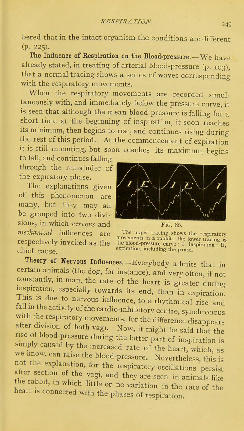 bered that in the intact organism the conditions are different (p. 225). The Influence of Respiration on the Blood-pressure.—We have already stated, in treating of arterial blood-pressure (p. 103), that a normal tracing shows a series of waves corresponding with the respiratory movements. When the respiratory movements are recorded simul- taneously with, and immediately below the pressure curve, it is seen that although the mean blood-pressure is falling for a short time at the beginning of inspiration, it soon reaches its minimum, then begins to rise, and continues rising during the rest of this period. At the commencement of expiration it is still mounting, but soon reaches its maximum, begins to fall, and continues falling through the remainder of the expiratory phase. The explanations given of this phenomenon are many, but they may all be grouped into two divi- sions, in which nervous and Fig. 86. mechanical influences are '^''^ PP^ tracing shows the respiratory 1 • , J , f°''ements in a rabbit; the lower tracine is respectively invoked as the the blood-pressure curve ; I, inspiration - E chief cause. expiration, including the pause. ' ' Theory of Nervous Influences.—Everybody admits that in certam animals (the dog, for instance), and very often, if not constantly, m man, the rate of the heart is greater durin- inspiration, especially towards its end, than in expiration This IS due to nervous influence, to a rhythmical rise and fall m the activity of the cardio-inhibitory centr e, synchronous vv-ith the respiratory movements, for the difference disappears after division of both vagi. Now, it might be said that the rise of blood-pressure during the latter part of inspiration is simply caused by the increased rate of the heart, which as we know, can raise the blood-pressure. Nevertheless, thi's is not the explanation, for the respiratory oscillations persist the ra'bbT ^ l 7''' ^'^^ - like the rabbit, in which httle or no variation in the rate of the heart is connected with the phases of respiration.