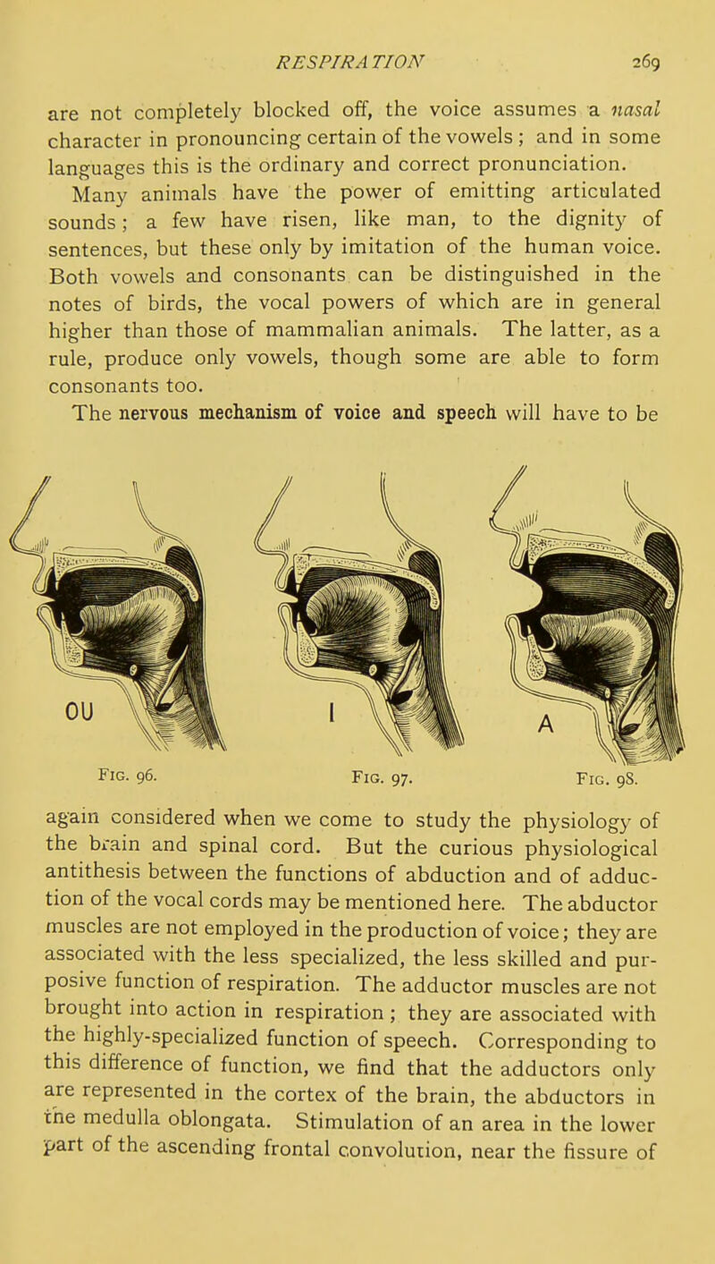 are not completely blocked off, the voice assumes a naml character in pronouncing certain of the vowels ; and in some languages this is the ordinary and correct pronunciation. Many animals have the power of emitting articulated sounds; a few have risen, like man, to the dignity of sentences, but these only by imitation of the human voice. Both vowels and consonants can be distinguished in the notes of birds, the vocal powers of which are in general higher than those of mammalian animals. The latter, as a rule, produce only vowels, though some are able to form consonants too. The nervous mechanism of voice and speech will have to be Fig. 96. Fig. 97. Fig. 98. again considered when we come to study the physiology of the brain and spinal cord. But the curious physiological antithesis between the functions of abduction and of adduc- tion of the vocal cords may be mentioned here. The abductor muscles are not employed in the production of voice; they are associated with the less specialized, the less skilled and pur- posive function of respiration. The adductor muscles are not brought into action in respiration ; they are associated with the highly-specialized function of speech. Corresponding to this difference of function, we find that the adductors only are represented in the cortex of the brain, the abductors in the medulla oblongata. Stimulation of an area in the lower part of the ascending frontal convolution, near the fissure of