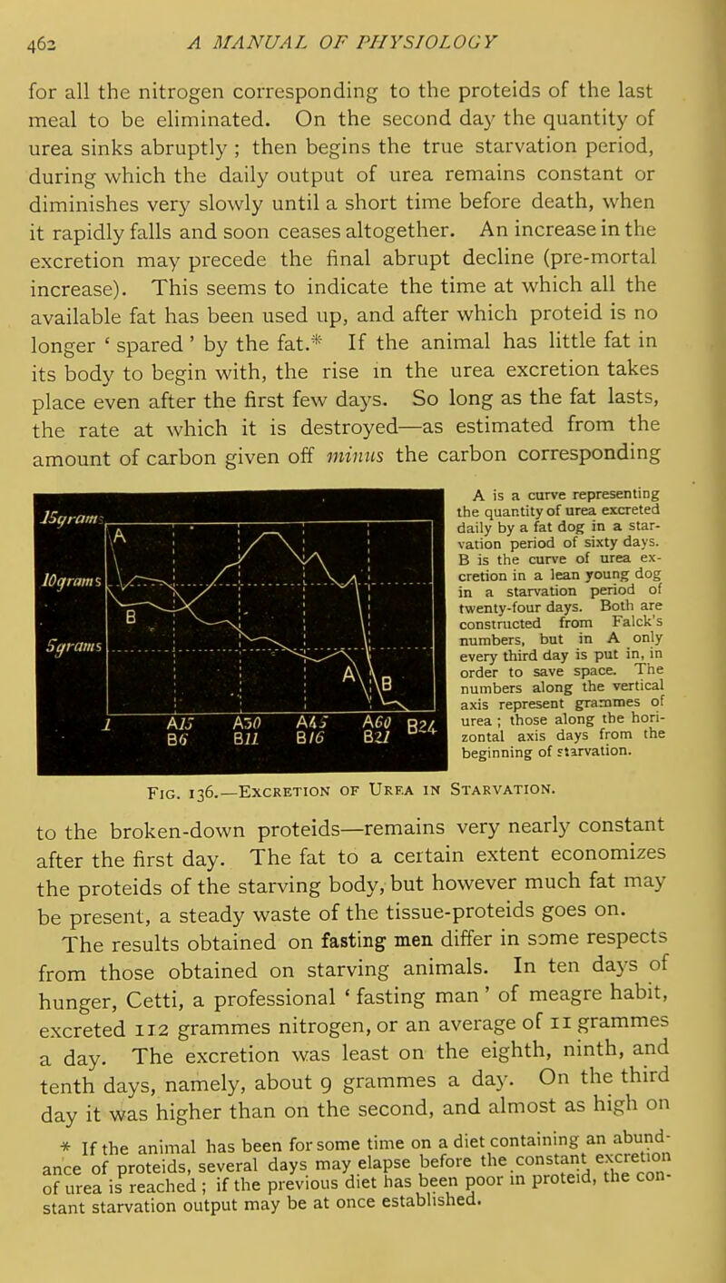 for all the nitrogen corresponding to the proteids of the last meal to be eliminated. On the second day the quantity of urea sinks abruptly ; then begins the true starvation period, during which the daily output of urea remains constant or diminishes very slowly until a short time before death, when it rapidly falls and soon ceases altogether. An increase in the excretion may precede the final abrupt decline (pre-mortal increase). This seems to indicate the time at which all the available fat has been used up, and after which proteid is no longer ' spared ' by the fat.* If the animal has little fat in its body to begin with, the rise m the urea excretion takes place even after the first few days. So long as the fat lasts, the rate at which it is destroyed—as estimated from the amount of carbon given off minu% the carbon corresponding A is a curve representing the quantity of urea excreted daily by a fat dog in a star- vation period of sixty days. B is the curve of urea ex- cretion in a lean young dog in a starvation period of twenty-four days. Both are constructed from Falck's numbers, but in A only every third day is put in, in order to save space. The numbers along the vertical axis represent grammes of urea ; those along the hori- zontal axis days from the beginning of f iarvation. Fig. 136.—Excretion of Urf.a in Starvation. to the broken-down proteids—remains very nearly constant after the first day. The fat to a certain extent economizes the proteids of the starving body, but however much fat may be present, a steady waste of the tissue-proteids goes on. The results obtained on fasting men differ in some respects from those obtained on starving animals. In ten days of hunger, Cetti, a professional ' fasting man ' of meagre habit, excreted 112 grammes nitrogen, or an average of 11 grammes a day. The excretion was least on the eighth, ninth, and tenth days, namely, about 9 grammes a day. On the third day it was higher than on the second, and almost as high on * If the animal has been for some time on a diet containing an abund- ance of proteids, several days may elapse before ^he constant excretion of urea is reached ; if the previous diet has been poor m proteid, the con- stant starvation output may be at once established.