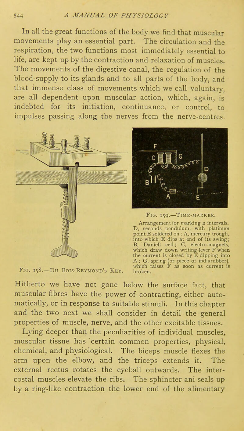 In all the great functions of the body we find that muscular movements play an essential part. The circulation and the respiration, the two functions most immediately essential to life, are kept up by the contraction and relaxation of muscles. The movements of the digestive canal, the regulation of the blood-supply to its glands and to all parts of the body, and that immense class of movements which we call voluntary, are all dependent upon muscular action, which, again, is indebted for its initiation, continuance, or control, to impulses passing along the nerves from the nerve-centres. Fig. 159.—Time-marker. Arrangement Tor marking 2 intervals. D, seconds pendulum, with platinum point E soldered on ; A, mercury trough, into which E dips at end of its swing; B, Daniell cell; C, electro-magnets, which draw down writing-lever F when the current is closed by E dipping into A ; G, spring (or piece of indiarubber), which raises F as soon as current is broken. Hitherto we have not gone below the surface fact, that muscular fibres have the power of contracting, either auto- matically, or in response to suitable stimuli. In this chapter and the two next we shall consider in detail the general properties of muscle, nerve, and the other excitable tissues. Lying deeper than the peculiarities of individual muscles, muscular tissue has 'certain common properties, physical, chemical, and physiological. The biceps muscle flexes the arm upon the elbow, and the triceps extends it. The external rectus rotates the eyeball outwards. The inter- costal muscles elevate the ribs. The sphincter ani seals up by a ring-like contraction the lower end of the alimentary Fig. 158.—Du Bois-Reymond's Key. i
