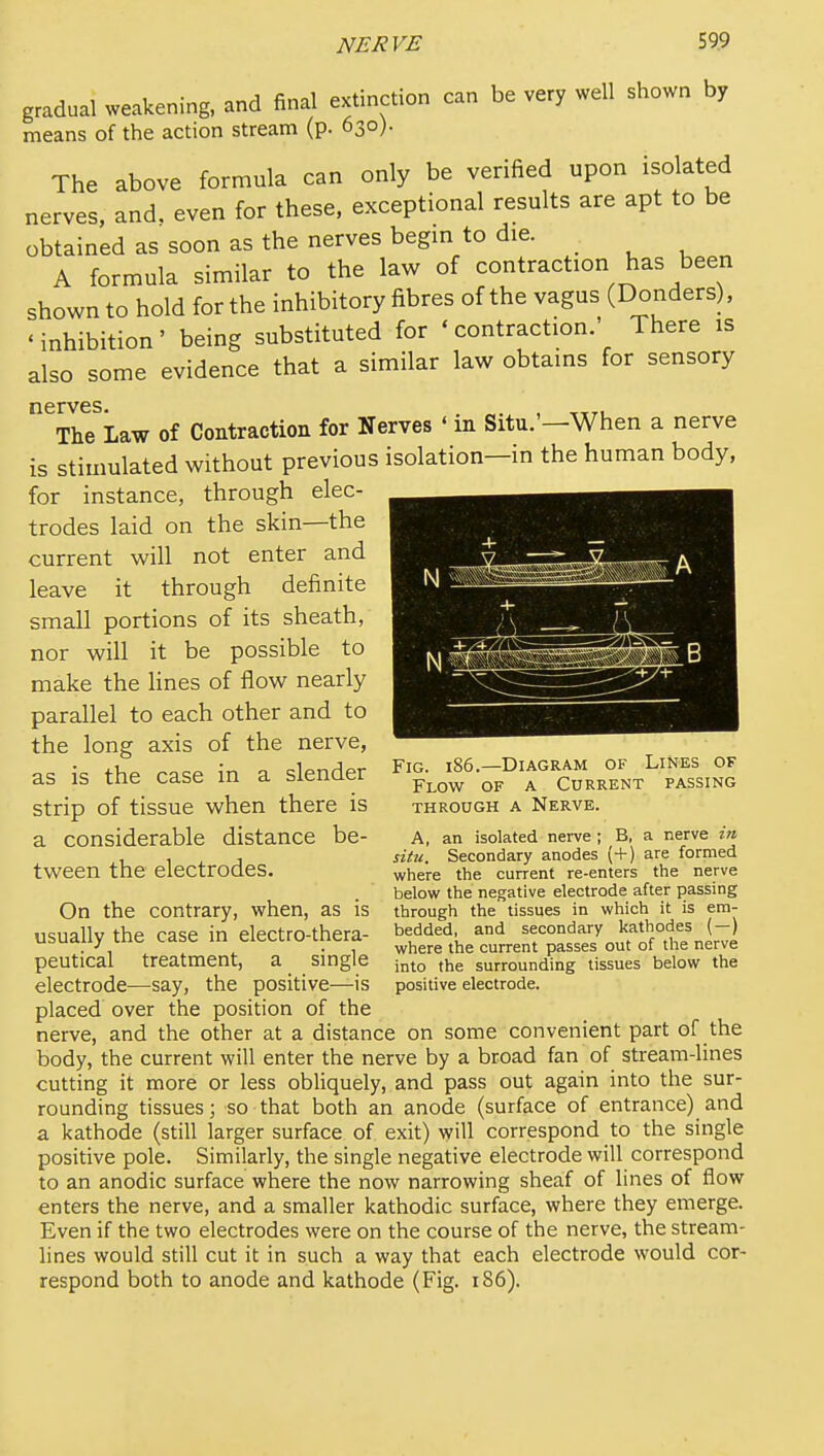 gradual weakening, and final extinction can be very well shown by means of the action stream (p. 630). The above formula can only be verified upon isolated nerves, and. even for these, exceptional results are apt to be obtained as soon as the nerves begin to die. A formula similar to the law of contraction has been shown to hold for the inhibitory fibres of the vagus (Donders), ' inhibition ' being substituted for ' contraction.' There is also some evidence that a similar law obtains for sensory nerves The Law of Contraction for Nerves ' in Situ.'—When a nerve is stimulated without previous isolation-in the human body, for instance, through elec- trodes laid on the skin—the current will not enter and leave it through definite small portions of its sheath, nor will it be possible to make the lines of flow nearly parallel to each other and to the long axis of the nerve, as is the case in a slender strip of tissue when there is a considerable distance be- tween the electrodes. On the contrary, when, as is usually the case in electro-thera- peutical treatment, a single electrode—say, the positive—is placed over the position of the nerve, and the other at a distance on some convenient part of the body, the current will enter the nerve by a broad fan of stream-lines cutting it more or less obliquely, and pass out again into the sur- rounding tissues; so that both an anode (surface of entrance) and a kathode (still larger surface of exit) will correspond to the single positive pole. Similarly, the single negative electrode will correspond to an anodic surface where the now narrowing sheaf of lines of flow enters the nerve, and a smaller kathodic surface, where they emerge. Even if the two electrodes were on the course of the nerve, the stream- lines would still cut it in such a way that each electrode would cor- respond both to anode and kathode (Fig. 186). Fig. 186.—Diagram of Lines of Flow of a Current passing THROUGH A NeRVE. A, an isolated nerve ; B, a nerve in situ. Secondary anodes (-f) are formed where the current re-enters the nerve below the negative electrode after passing through the tissues in which it is em- bedded, and secondary kathodes ( —) where the current passes out of the nerve into the surrounding tissues below the positive electrode.