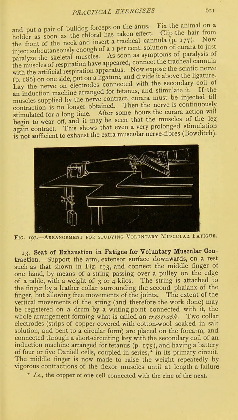 and put a pair of bulldog forceps on the anus. Fix the animal on a hofder as Lon as the chloral has taken effect. Clip the hair from the front of the neck and insert a tracheal cannula (p. 177)- Now nject subcutaneously enough of a i per cent, solution of curara to just paralyze the skeletal muscles. As soon as symptoms of paralysis of Kuscles of respiration have appeared, connect the tracheal cannula with the artificial respiration apparatus. Now expose the static ne^^^^^^ (p. 186) on one side, put on a ligature, and divide it above the ligature^ Lay the nerve on electrodes connected with the_ secondary coil of an induction machine arranged for tetanus, and stimulate it. If the muscles supplied by the nerve contract, curara must be injected till contraction is no longer obtained. Then the nerve is continuously stimulated for a long time. After some hours the curara action will begin to wear off, and it may be seen that the muscles of the leg again contract. This shows that even a very prolonged stimulation is not sufficient to exhaust the extra-muscular nerve-fibres (Bowditch). Fig. 193.—Arrangement for studying Voluntary MusculaPv 1-atigde. 13. Seat of Exhaustion in Fatigue for Voluntary Muscular Con- traction.—Support the arm, extensor surface downwards, On a rest such as that shown in Fig. 193, and connect the middle finger of one hand, by means of a string passing over a pulley on the edge of a table, with a weight of 3 or 4 kilos. The string is attached to the finger by a leather collar surrounding the second phalanx of the finger, but allowing free movements of the joints. The extent of the vertical movements of the string (and therefore the work done) may be registered on a drum by a writing-point connected with it, the whole arrangement forming what is called an ergograph. Two collar electrodes (strips of copper covered with cotton-wool soaked in salt solution, and bent to a circular form) are placed on the forearm, and connected through a short-circuiting key with the secondary coil of an induction machine arranged for tetanus (p. 175), and having a battery of four or five Daniell cells, coupled in series,* in its primary circuit. The middle finger is now made to raise the weight repeatedly by vigorous contractions of the flexor muscles until at length a failure * I.e., the copper of one cell connected with the zinc of the next.