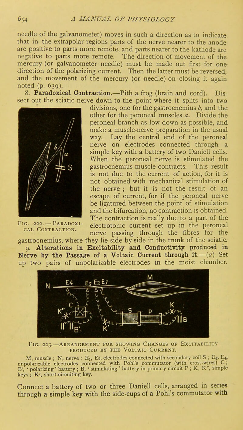 needle of the galvanometer) moves in such a direction as to indicate that in the extrapolar regions parts of the nerve nearer to the anode are positive to parts more remote, and parts nearer to the kathode are negative to parts more remote. The direction of movement of the mercury (or galvanometer needle) must be made out first for one direction of the polarizing current. Then the latter must be reversed, and the movement of the mercury (or needle) on closing it again noted (p. 639). 8. Paradoxical Contraction.—Pith a frog (brain and cord). Dis- sect out the sciatic nerve down to the point where it splits into two divisions, one for the gastrocnemius d, and the other for the peroneal muscles a. Divide the peroneal branch as low down as possible, and make a muscle-nerve preparation in the usual way. Lay the central end of the peroneal nerve on electrodes connected through a simple key with a battery of two Daniell cells. When the peroneal nerve is stimulated the gastrocnemius muscle contracts. This result is not due to the current of action, for it is not obtained with mechanical stimulation of the nerve ; but it is not the result of an escape of current, for if the peroneal nerve be ligatured between the point of stimulation and the bifurcation, no contraction is obtained. The contraction is really due to a part of the electrotonic current set up in the peroneal nerve passing through the fibres for the gastrocnemius, where they lie side by side in the trunk of the sciatia 9. Alterations in Excitability and Conductivity produced in Nerve by the Passage of a Voltaic Current through it.—(a) Set up two pairs of impolarizable electrodes in the moist chamber. Fig. 222. — Paradoxi cAL Contraction. Fig. 223.—Arrangement for showing Changes of Excitability produced by the voltaic current. M, muscle ; N, nerve ; Ei, E2, electrodes connected with secondary coil S ; £3, E^, unpolarizable electrodes connected with Pohl's commutator (with cross-wires) C ; B', ' polarizing' battery ; B, 'stimulating ' battery in primary circuit P ; K, K, simple keys ; K', short-circuiting key. Connect a battery of two or three Daniell cells, arranged in series through a simple key with the side-cups of a Pohl's commutator with