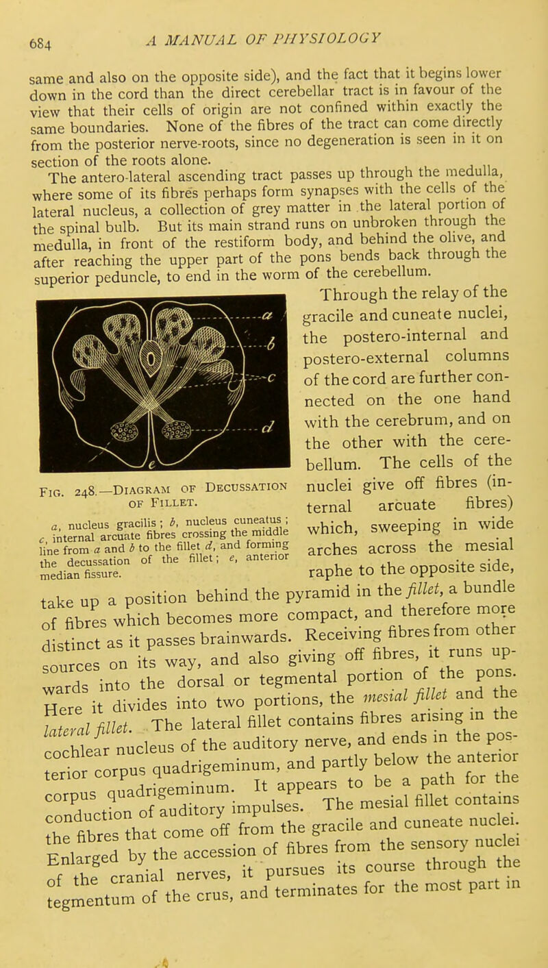 same and also on the opposite side), and the fact that it begins lower do>ivn in the cord than the direct cerebellar tract is in favour of the view that their cells of origin are not confined within exactly the same boundaries. None of the fibres of the tract can come directly from the posterior nerve-roots, since no degeneration is seen m it on section of the roots alone. The antero lateral ascending tract passes up through the medulla, where some of its fibres perhaps form synapses with the cells of the lateral nucleus, a collection of grey matter in the lateral portion of the spinal bulb. But its main strand runs on unbroken through the medulla, in front of the restiform body, and behind the olive, and after reaching the upper part of the pons bends back through the superior peduncle, to end in the worm of the cerebellum. Through the relay of the irracile and cuneate nuclei, the postero-internal and postero-external columns of the cord are further con- nected on the one hand with the cerebrum, and on the other with the cere- bellum. The cells of the nuclei give off fibres (in- ternal arcuate fibres) which, sweeping in wide arches across the mesial raphe to the opposite side, takruP a position behind the pyramid in the^W.^, a bundle of fibres which becomes more compact, and therefore mo,e distinct as it passes brainwards. Receiving fibres from other ce on its way, and also giving off fibres, it runs up- wards into the dorsal or tegmental portion o the pons- Here it divides into two portions, the .^c.^al and the r fibr s tha cle off from the gracile and cuneate nuclei Enlarged by the accession of fibres from the sensory nuclei of the cranial nerves, it pursues its course through the Lgmentum of the crus, and terminates for the most part in Fig. 248.- -Diagram of Decussation OF Fillet. a, nucleus gracilis; i. nucleus cuneatus ; c internal arcuate fibres crossing the middle Hne from a and 6 to the fillet d. and forming the decussation of the fillet; e, anterior median fissure.