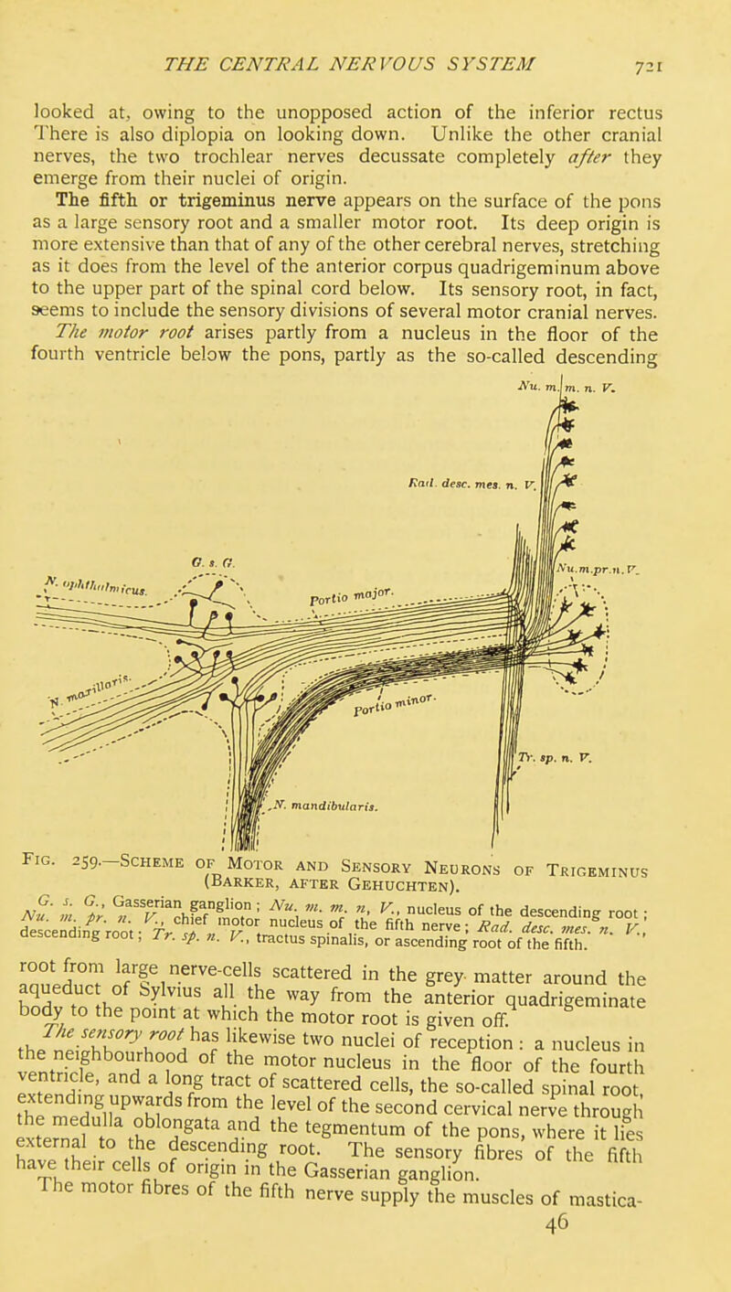 looked at, owing to the unopposed action of the inferior rectus There is also diplopia on looking down. Unlike the other cranial nerves, the two trochlear nerves decussate completely after they emerge from their nuclei of origin. The fifth or trigeminus nerve appears on the surface of the pons as a large sensory root and a smaller motor root. Its deep origin is more extensive than that of any of the other cerebral nerves, stretching as it does from the level of the anterior corpus quadrigeminum above to the upper part of the spinal cord below. Its sensory root, in fact, aeems to include the sensory divisions of several motor cranial nerves. The motor root arises partly from a nucleus in the floor of the fourth ventricle below the pons, partly as the so-called descending n. V. u.m.pr.n. V. Tr. sp. n. V. t rifHiii. ' Fig. 259.-SCHEME OF Motor and Sensory Neurons of Trigeminus (Barker, after Gehuchten). AV ■ m ?r ^^Phff^^'? = ^- '^^•^^ °f 'he descending root ; deLndin^root r/^fVT ', ,the fifth nerve; Rad. desc. ,nes.n. V, aescenaing root, Ir. sp. n. V., tractus spinalis, or ascending root of the fifth. InuPdnrT offi ^''n'^l '^^'^^ g^^y ^^^^ around the aqueduc Of bylvius all the way from the anterior quadrigeminate body to the point at which the motor root is given off ^h^Z^^ZT'C'a^^^. ^u^''''^ °f ^^^^Pti° ■■ a nucleus in the neighbourhood of the motor nucleus in the floor of the fourth ventricle, and a long tract of scattered cells, the so-called spinal root ^^ '^^^ °f the second cervical nerve throSg externafto%°he dT' h' '^^-^--^-^ of the pons, where it lils external to the descendmg root. The sensory fibres of the fifth have their cells of origin in the Gasserian ganglion. The motor fibres of the fifth nerve supply the muscles of mastica- 46