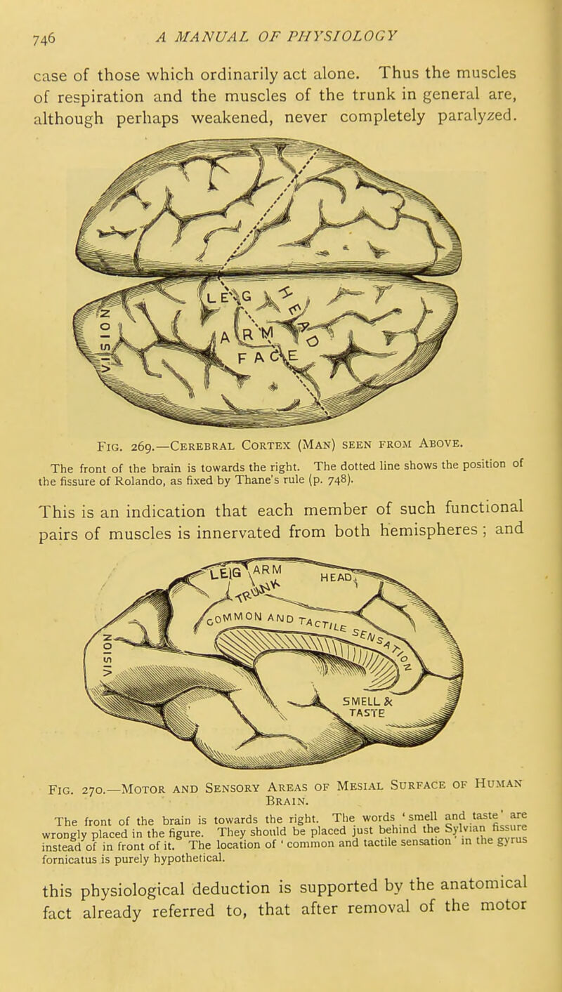 case of those which ordinarily act alone. Thus the muscles of respiration and the muscles of the trunk in general are, although perhaps weakened, never completely paralyzed. Fig. 269.—Cerebral Cortex (Man) seen from Above. The front of the brain is towards the right. The dotted line shows the position of the fissure of Rolando, as fixed by Thane's rule (p. 748). This is an indication that each member of such functional pairs of muscles is innervated from both hemispheres ; and Fig. 270.—Motor and Sensory Areas of Mesial Surface of Human Brain. The front of the brain is towards the right. The words ' smell |°f .taf^^' wrongly placed in the figure. They should be placed just behind the Sylvian fissure instead of in front of it. The location of ' common and tactile sensation m the gyrus fornicatus is purely hypothetical. this physiological deduction is supported by the anatomical fact already referred to, that after removal of the motor