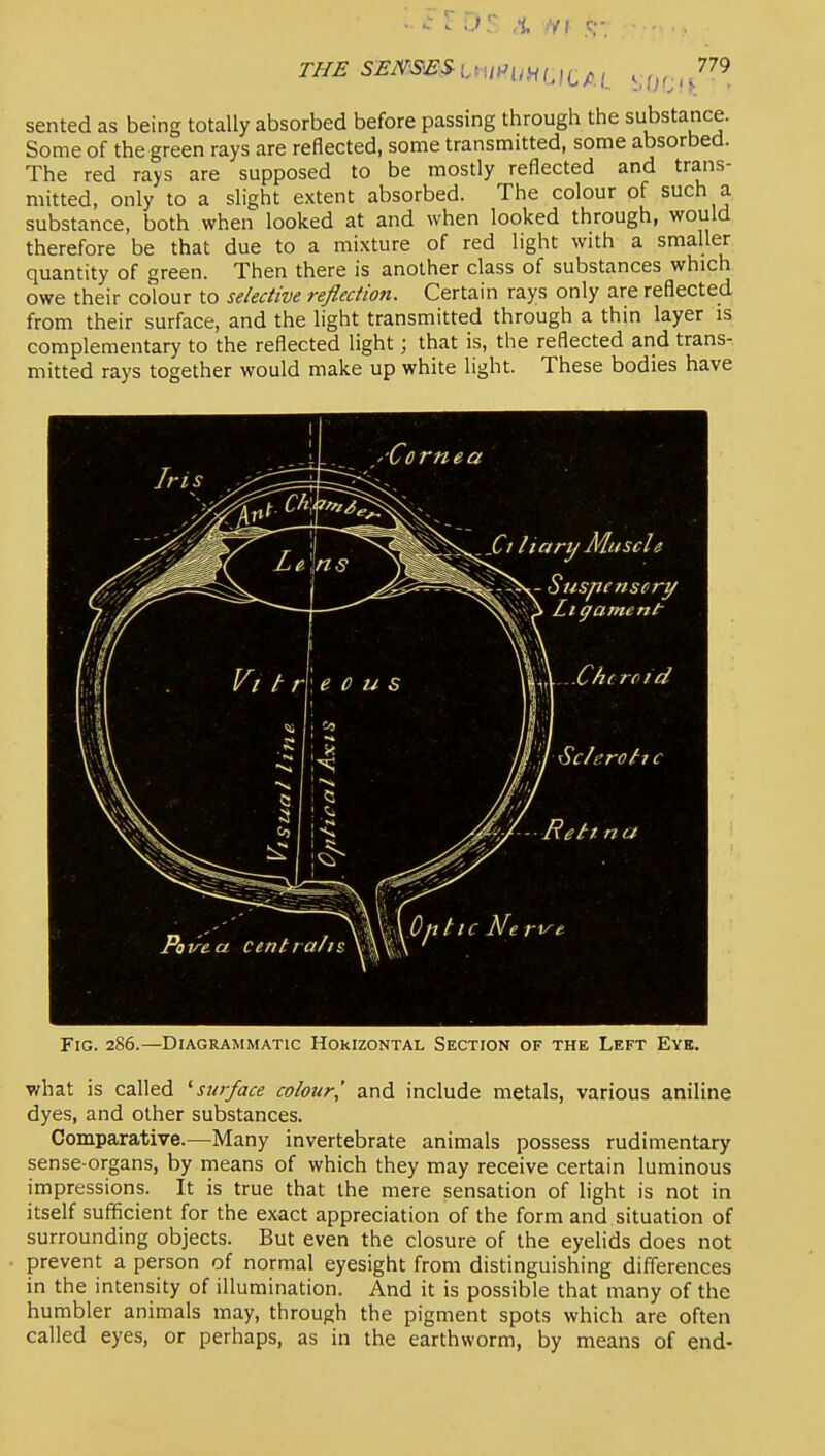 sented as being totally absorbed before passing through the substance. Some of the green rays are reflected, some transmitted, some absorbed. The red rays are supposed to be mostly reflected and trans- mitted, only to a slight extent absorbed. The colour of such a substance, both when looked at and when looked through, would therefore be that due to a mixture of red light with a smaller quantity of green. Then there is another class of substances which owe their colour to selective reflection. Certain rays only are reflected from their surface, and the light transmitted through a thin layer is complementary to the reflected light; that is, the reflected and trans- mitted rays together would make up white light. These bodies have Fig. 286.—Diagrammatic Horizontal Section of the Left Eye. what is called ^surface colour,' and include metals, various aniline dyes, and other substances. Comparative.—Many invertebrate animals possess rudimentary sense-organs, by means of which they may receive certain luminous impressions. It is true that the mere sensation of light is not in itself sufficient for the exact appreciation of the form and situation of surrounding objects. But even the closure of the eyelids does not prevent a person of normal eyesight from distinguishing diflerences in the intensity of illumination. And it is possible that many of the humbler animals may, through the pigment spots which are often called eyes, or perhaps, as in the earthworm, by means of end-