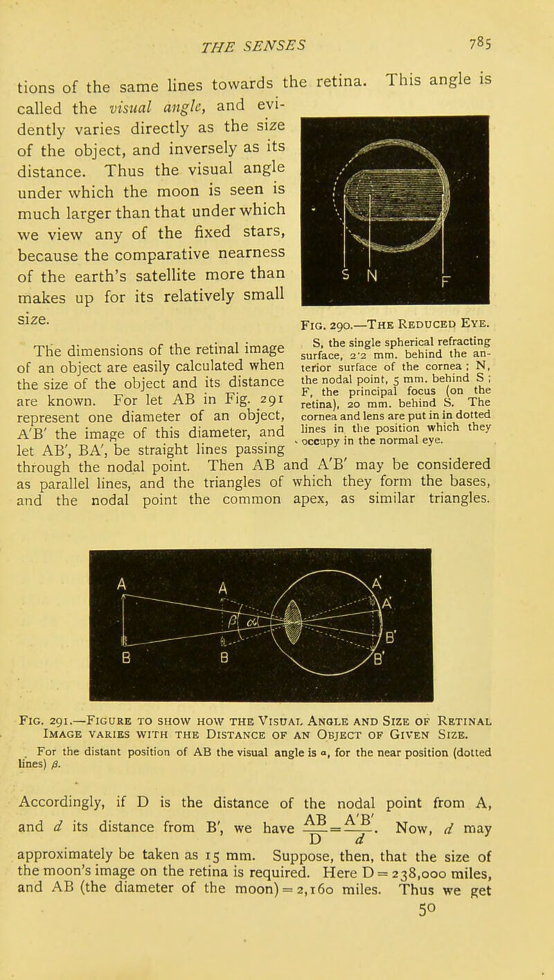 tions of the same lines towards the retina. This angle is called the visual angle, and evi- dently varies directly as the size of the object, and inversely as its distance. Thus the visual angle under which the moon is seen is much larger than that under which we view any of the fixed stars, because the comparative nearness of the earth's satellite more than makes up for its relatively small size. Fig. 290.—The Reduced Eye. S, the single spherical refracting surface, 2'2 mm. behind the an- terior surface of the cornea ; N, the nodal point, 5 mm. behind S ; F, the principal focus (on the retina), 20 mm. behind S. The cornea and lens are put in in dotted The dimensions of the retinal image of an object are easily calculated when the size of the object and its distance are known. For let AB in Fig. 291 represent one diameter of an object, , A'B' the image of this diameter, and . ^4-p;i„t/„°,S eye.'^ let AB, BA, be straight hnes passing through the nodal point. Then AB and A'B' may be considered as parallel lines, and the triangles of which they form the bases, and the nodal point the common apex, as similar triangles. Fig. 291.—Figure to show how the Visuai, Angle and Size of Retinal Image varies with the Distance of an Object of Given Size. . For the distant position of AB the visual angle is a, for the near position (dotted lines) ^. Accordingly, if D is the distance of the nodal point from A, AT) A'R' and d its distance from B', we have — = tL^. Now, (/ may D a approximately be taken as 15 ram. Suppose, then, that the size of the moon's image on the retina is required. Here D = 238,000 miles, and AB (the diameter of the moon) = 2,160 miles. Thus we get 50