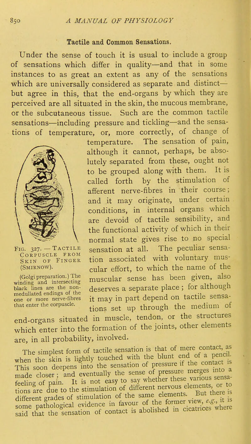 Tactile and Common Sensations. Under the sense of touch it is usual to include a group of sensations which differ in quality—and that in some instances to as great an extent as any of the sensations which are universally considered as separate and distinct— but agree in this, that the end-organs by which they are perceived are all situated in the skin, the mucous membrane, or the subcutaneous tissue. Such are the common tactile sensations—including pressure and tickling—and the sensa- tions of temperature, or, more correctly, of change of temperature. The sensation of pain, although it cannot, perhaps, be abso- lutely separated from these, ought not to be grouped along with them. It is called forth by the stimulation of afferent nerve-fibres in their course; and it may originate, under certain conditions, in internal organs which are devoid of tactile sensibility, and the functional activity of which in their normal state gives rise to no special sensation at all. The peculiar sensa- tion associated with voluntary mus- cular effort, to which the name of the muscular sense has been given, also deserves a separate place ; for although it may in part depend on tactile sensa- tions set up through the medium of end-organs situated in muscle, tendon, or the structures which enter into the formation of the joints, other elements are, in all probability, involved. The simplest form of tactile sensation is that of mere contact, as whin the Tin is lightly touched with the blunt end of a pen-L This soon deepens into the sensation of pressure if the con act is made closer- and eventually the sense of pressure merges into a fteling of pain. It is not easy to say whether these various sensa^ Sns ire due to the stimulation of different -rv-s ^^^^^^^^^^ different grades of stimulation of the same elements. But there some pathological evidence in favour f said that the sensation of contact is abolished m cicatrices Fig. 327.—Tactile Corpuscle from Skin of Finger (Smirnow). (Golgi preparation.) The winding and intersecting black lines are the non- meduUated endings of the one or more nerve-fibres that enter the corpuscle.