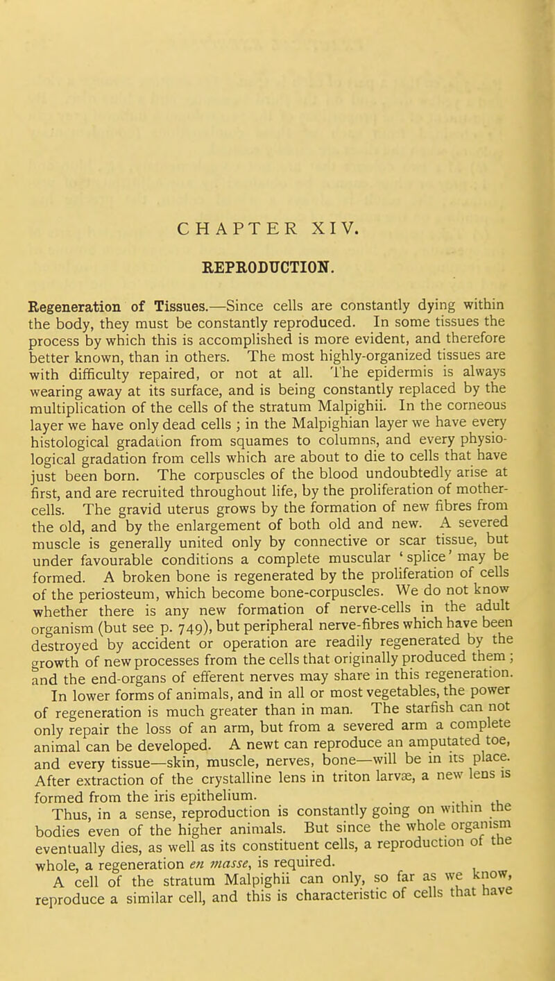 CHAPTER XIV. REPRODUCTION. Regeneration of Tissues.—Since cells are constantly dying within the body, they must be constantly reproduced. In some tissues the process by which this is accomplished is more evident, and therefore better known, than in others. The most highly-organized tissues are with difficulty repaired, or not at all. The epidermis is always wearing away at its surface, and is being constantly replaced by the multiplication of the cells of the stratum Malpighii. In the corneous layer we have only dead cells ; in the Malpighian layer we have every histological gradation from squames to columns, and every physio- logical gradation from cells which are about to die to cells that have just been born. The corpuscles of the blood undoubtedly arise at first, and are recruited throughout life, by the proliferation of mother- cells. The gravid uterus grows by the formation of new fibres from the old, and by the enlargement of both old and new. A severed muscle is generally united only by connective or scar tissue, but under favourable conditions a complete muscular ' splice' may be formed. A broken bone is regenerated by the proliferation of cells of the periosteum, which become bone-corpuscles. We do not know whether there is any new formation of nerve-cells in the adult organism (but see p. 749), but peripheral nerve-fibres which have been destroyed by accident or operation are readily regenerated by the growth of new processes from the cells that originally produced them ; and the end-organs of efferent nerves may share in this regeneration. In lower forms of animals, and in all or most vegetables, the power of regeneration is much greater than in man. The starfish can not only repair the loss of an arm, but from a severed arm a complete animal can be developed. A newt can reproduce an amputated toe, and every tissue—skin, muscle, nerves, bone—will be m its place. After extraction of the crystalline lens in triton larvae, a new lens is formed from the iris epithelium. Thus, in a sense, reproduction is constantly going on within tne bodies even of the higher animals. But since the whole organism eventually dies, as well as its constituent cells, a reproduction of the whole, a regeneration en masse, is required. A cell of the stratum Malpighii can only, so far as we know, reproduce a similar cell, and this is characteristic of cells that have