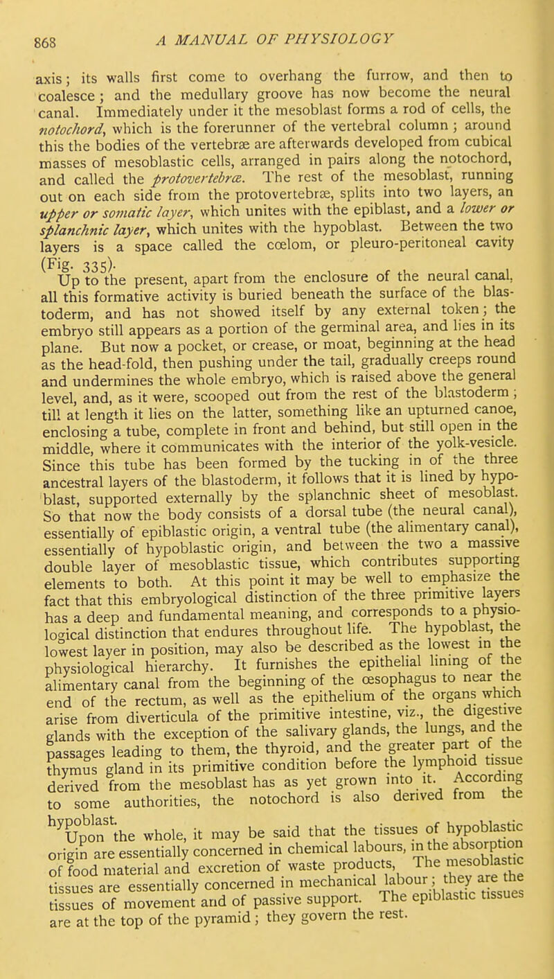 axis; its walls first come to overhang the furrow, and then to coalesce; and the medullary groove has now become the neural canal. Immediately under it the mesoblast forms a rod of cells, the noiochord, which is the forerunner of the vertebral column; around this the bodies of the vertebrae are afterwards developed from cubical masses of mesoblastic cells, arranged in pairs along the notochord, and called the protovertebrcR. The rest of the mesoblast, runnmg out on each side from the protovertebrse, splits into two layers, an upper or somatic layer, which unites with the epiblast, and a lower or splanchnic layer, which unites with the hypoblast. Between the two layers is a space called the coelom, or pleuro-peritoneal cavity (Fig. 335). Up to the present, apart from the enclosure of the neural canal, all this formative activity is buried beneath the surface of the blas- toderm, and has not showed itself by any external token ; the embryo still appears as a portion of the germinal area, and lies in its plane. But now a pocket, or crease, or moat, beginning at the head as the head-fold, then pushing under the tail, gradually creeps round and undermines the whole embryo, which is raised above the general level, and, as it were, scooped out from the rest of the blastoderm; till at length it lies on the latter, something like an upturned canoe, enclosing a tube, complete in front and behind, but still open m the middle, where it communicates with the interior of the yolk-vesicle. Since this tube has been formed by the tucking in of the three ancestral layers of the blastoderm, it follows that it is lined by hypo- blast, supported externally by the splanchnic sheet of mesoblast. So that now the body consists of a dorsal tube (the neural canal), essentially of epiblastic origin, a ventral tube (the alimentary canal), essentially of hypoblastic origin, and between the two a massive double layer of mesoblastic tissue, which contributes supporting elements to both. At this point it may be well to emphasize the fact that this embryological distinction of the three primitive layers has a deep and fundamental meaning, and corresponds to a physio- logical distinction that endures throughout life. The hypoblast, the lowest layer in position, may also be described as the lowest in the physiological hierarchy. It furnishes the epithelial lining of the alimentary canal from the beginning of the oesophagus to near the end of the rectum, as well as the epithelium of the orgaris which arise from diverticula of the primitive intestine, viz., the digestive elands with the exception of the salivary glands, the lungs, and he nassages leading to them, the thyroid, and the greater part of the fhymS gland in its primitive condition before the lymphoid tissue derived from the mesoblast has as yet grown into it According to some authorities, the notochord is also derived from the ^^Upon'ihe whole, it may be said that the tissues of hypoblastic origin are essentially concerned in chemical labours, in the absorption of food material and excretion of waste products. The mesoblastic tissues are essentially concerned in mechanical labour ; thj a e^^ tissues of movement and of passive support The epiblastic tissues are at the top of the pyramid; they govern the rest.
