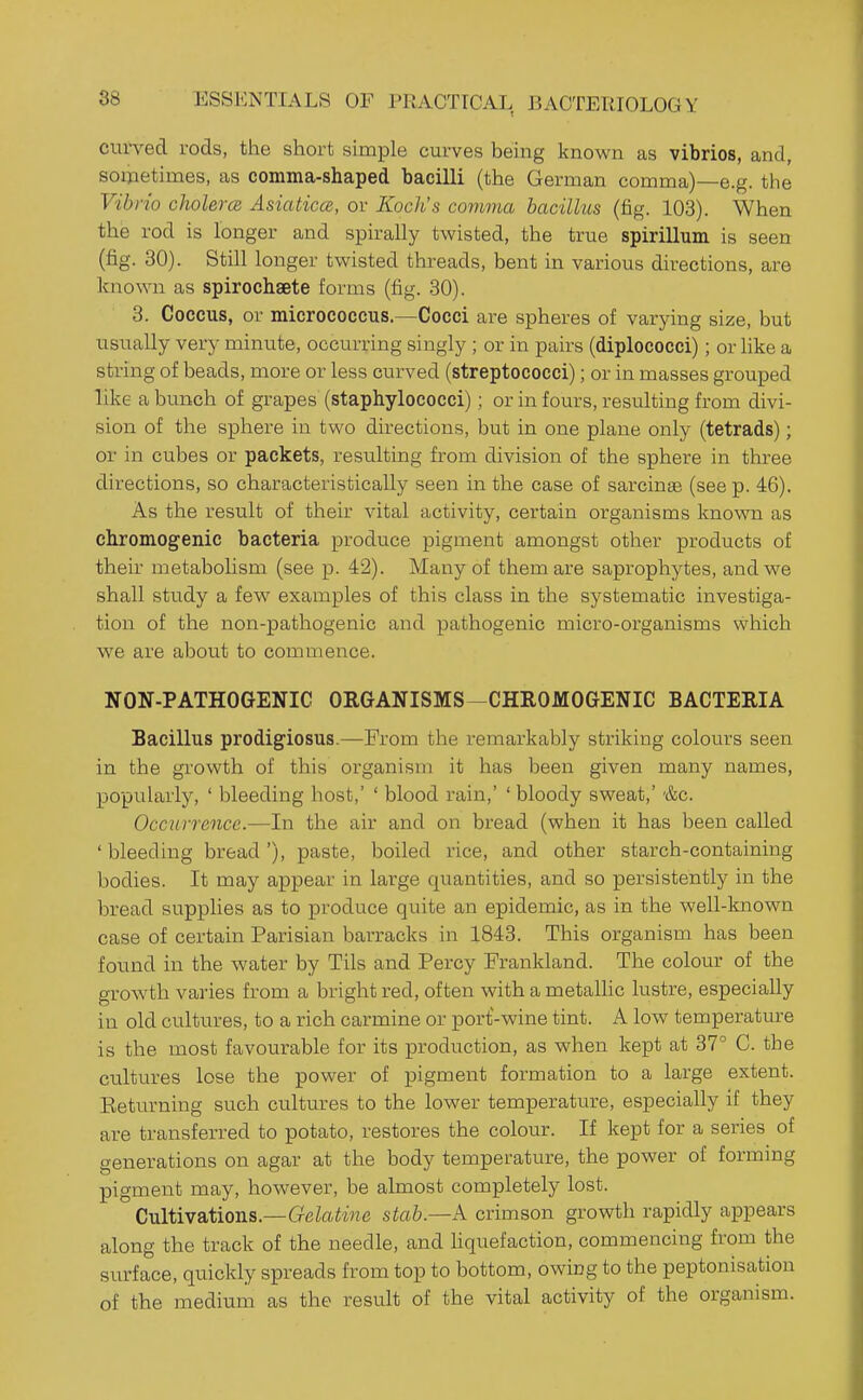 curved rods, the short simple curves being known as vibrios, and, sometimes, as comma-shaped bacilli (the German comma)—e.g. the Vibrio cholerce Asiaticce, or Koclis comma bacillus (fig. 103). When the rod is longer and spirally twisted, the true spirillum is seen (fig. 30). Still longer twisted threads, bent in various directions, are known as spirocbaete forms (fig. 30). 8. Coccus, or micrococcus.—Cocci are spheres of varying size, but usually very minute, occurring singly ; or in pairs (diplococci); or hke a string of beads, more or less curved (streptococci); or in masses grouped like a bunch of grapes (staphylococci); or in fours, resulting from divi- sion of the sphere in two directions, but in one plane only (tetrads); or in cubes or packets, resulting from division of the sphere in three directions, so characteristically seen in the case of sarcinae (see p. 46). As the result of their vital activity, certain organisms known as chromogenic bacteria produce pigment amongst other products of their metabolism (see p. 42). Many of them are saprophytes, and we shall study a few examples of this class in the systematic investiga- tion of the non-pathogenic and pathogenic micro-organisms which we are about to commence. NON-PATHOGENIC ORGANISMS—CHROMOGENIC BACTERIA Bacillus prodigiosus.—From the remarkably striking colours seen in the growth of this organism it has been given many names, popularly, ' bleeding host,' ' blood rain,' ' bloody sweat,' '&c. Occurrence.—In the air and on bread (when it has been called 'bleeding bread'), paste, boiled rice, and other starch-containing bodies. It may appear in large quantities, and so persistently in the bread supplies as to produce quite an epidemic, as in the well-known case of certain Parisian barracks in 1843. This organism has been found in the water by Tils and Percy Frankland. The colour of the growth varies from a bright red, often with a metalhc lustre, especially in old cultures, to a rich carmine or port'-wine tint. A low temperature is the most favourable for its production, as when kept at 37° C. the ctiltures lose the power of pigment formation to a large extent. Eeturning such cultures to the lower temperature, especially if they are transferred to potato, restores the colour. If kept for a series of generations on agar at the body temperature, the power of forming pigment may, however, be almost completely lost. Cultivations.—CreZai'wre stab.—A crimson growth rapidly appears along the track of the needle, and liquefaction, commencing from the surface, quickly spreads from top to bottom, owing to the peptonisation of the medium as the result of the vital activity of the organism.