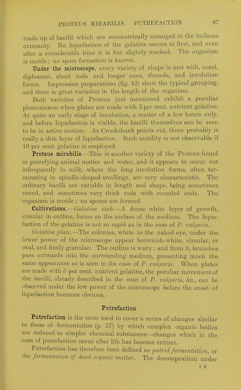 PROTEUS MIRABILIS. PUTREFACTION made up of bacilli which are concentrically arranged in the bulbous extremity. No hquefaction of the gelatine occurs at first, and even after a considerable time it is but shghtly marked. The organism is motile; no spore formation is known. Under the microscope, every variety of shape is met with, cocci, diplococci, short rods and longer ones, threads, and involution forms. Impression preparations (fig. 42) show the typical grouping, and there is great variation in the length of the organism. Both varieties of Proteus just mentioned exhibit a pecuhar phenomenon when plates are made with 5 per cent, nutrient gelatine. At quite an early stage of incubation, a matter of a few hours only, and before liquefaction is visible, the bacilli themselves can be seen to be in active motion. As Crookshank points out, there probably is really a thin layer of liquefaction. Such motility is not observable if 10 per cent, gelatine is employed. Proteus mirabilis.—This is another variety of the Proteus found in putrefying animal matter and water, and. it appears to occur not infrequently in milk, where the long involution forms, often ter- minating in spindle-shaped swellings, are very characteristic. The ordinary bacilli are variable in length and shape, being sometimes round, and sometimes very thick rods with rounded ends. The organism is motile ; no spores are formed. Cultivations.—Gelatine stab.—A dense white layer of growth, circular in outline, forms on the surface of the medium. The lique- faction of the gelatine is not so rapid as in the case of P. vulgaris. Gelatine ])late.—The colonies, white to the naked eye, under the lower power of the microscope appear brownish-white, circular, or oval, and finely granular. The outline is wavy ; and from it, branches pass outwards into the surrounding medium, presenting much the same appearance as is seen in the case of P. molgaris. When plates are made with 5 per cent, nutrient gelatine, the pecuhar movement of the baciUi, already described in the case of P. vulgaris, &c., can be observed under the low power of the microscope before the onset of liquefaction becomes obvious. Putrefaction Putrefaction is the term used to cover a series of changes similar to those of fermentation (p. 57) by which complex organic bodies are reduced to simpler chemical su.bstances—changes which in the case of putrefaction occur after hfe has become extinct. Putrefaction has therefore been defined as putrid fermentation, or the fermentation of dead organic matter. The decomposition under F 2
