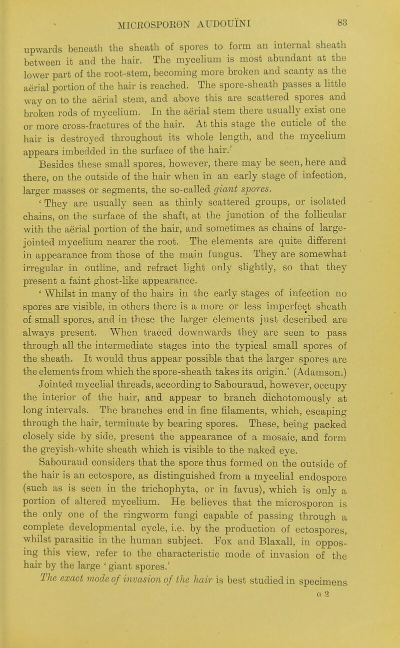 MICKOSPOEON AUDOUINI upwards beneath the sheath of spoi-es to form an internal sheath between it and the hair. The mycelium is most abundant at the lower part of the root-stem, becoming more broken and scanty as the aerial portion of the hair is reached. The spore-sheath passes a little way on to the aerial stem, and above this are scattered spores and broken rods of mycelium. In the aerial stem there usually exist one or more cross-fractures of the hair. At this stage the cuticle of the hair is destroyed throughout its whole length, and the mycelium appears imbedded in the surface of the hair.' Besides these small spores, however, there may be seen, here and there, on the outside of the hair when in an early stage of infection, larger masses or segments, the so-called giant spores. ' They are usually seen as thinly scattered groups, or isolated chains, on the surface of the shaft, at the junction of the folhcular with the aerial portion of the hair, and sometimes as chains of large- jointed mycelium nearer the root. The elements are quite different in appearance from those of the main fungus. They are somewhat irregular in outline, and refract light only shghtly, so that they present a faint ghost-like appearance. ' Whilst in many of the hairs in the early stages of infection no spores are visible, in others there is a more or less imperfect sheath of small spores, and in these the larger elements just described are always present. When traced downwards they are seen to pass through all the intermediate stages into the typical small spores of the sheath. It would thus appear possible that the larger spores are the elements from which the spore-sheath takes its origin.' (Adamson.) Jointed mycehal threads, according to Sabouraud, however, occupy the interior of the hair, and appear to branch dichotomously at long intervals. The branches end in fine filaments, which, escaping through the hau-, terminate by bearing spores. These, being packed closely side by side, present the appearance of a mosaic, and form the greyish-white sheath which is visible to the naked eye. Sabouraud considers that the spore thus formed on the outside of the hair is an ectospore, as distinguished from a mycelial endospore (such as is seen in the trichophyta, or in favus), which is only a portion of altered mycelium. He believes that the microsporon is the only one of the ringworm fungi capable of passing through a complete developmental cycle, i.e. by the production of ectospores, whilst parasitic in the human subject. Fox and Blaxall, in oppos- ing this view, refer to the characteristic mode of invasion of the hair by the large ' giant spores.' The exact mode of invasion of the hair is best studied in specimens G 2