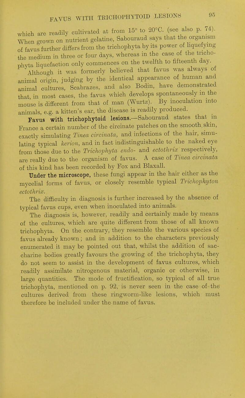 FAVUS WITPI TRICHOPHYTOID LESI0N8 90 which are readily cultivated at from 15° to 20°C. (see also p. 74). When ^.rown on nutrient gelatine, Sabouraud says that the organism of favus further differs from the trichophyta by its power of hquefymg the medium in three or four days, whereas in the case of the tricho- phyta hquefaction only commences on the twelfth to fifteenth day. \lthou^h it was formerly beheved that favus was always ot animal origin, judging by the identical appearance of human and animal cultures, Scabrazes, and also Bodin, have demonstrated that in most cases, the favus which develops spontaneously in the mouse is different from that of man (Wurtz). By inoculation into animals, e.g. a kitten's ear, the disease is readily produced. Favus with trichophytoid lesions.—Sabouraud states that m Prance a certain number of the circinate patches on the smooth, skin, exactly simulating Tinea circinata, and infections of the hair, simu- lating typical kerion, and in fact indistinguishable to the naked eye from^hose due to the Trichophyta endo- and ectothrix respectively, are really due to the organism of favus. A case of Tinea circinata of this kind has been recorded by Fox and Blaxall. Under the microscope, these fungi appear in the hair either as the mycehal forms of favus, or closely resemble typical Trichophyton ectothrix. The difficulty in diagnosis is further increased by the absence of typical favus cups, even when inoculated into animals. The diagnosis is, however, readily and certainly made by means of the cultures, which are quite different from those of all known trichophyta. On the contrary, they resemble the various species of favus already known; and in addition to the characters previously enumerated it may be pointed out that, whilst the addition of sac- charine bodies greatly favours the growing of the trichophyta, they do not seem to assist in the development of favus cultures, which readily assimilate nitrogenous material, organic or otherwise, in large quantities. The mode of fructification, so typical of all true trichophyta, mentioned on p. 92, is never seen in the case of the cultures derived from these ringworm-like lesions, which must therefore be included under the name of favus.