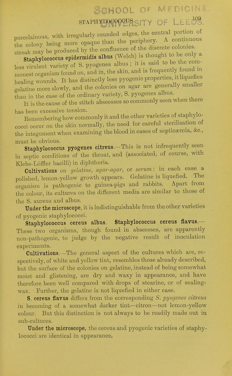 oGHOOL MEDIC sTAPiiYm(3^5j^3iyY OF LEiEl?S. pox-celainous. with --e.^^^-^^y the colony being more opaque than the periphery. A continuous stre4 may be produced by the confluence of the discrete colonies. Itaph^io occus epidermidis albus (Welch) is thought to be only a less vimlL variety of S. pyogenes albus ; it is said to be the com- organism found on, and in. the sldn, and is ^^^^<l^-XZeZ heahng wounds. It has distinctly less pyogenic properties t hquefies celatine more slowly, and the colonies on agar are generally smaUer than in the case of the ordinary variety, S. pyogenes albus. It is the cause of the stitch abscesses so commonly seen when there has been excessive tension. . . i x i, i Eemembering how commonly it and the other varieties of staphylo- cocci occur on the skin normally, the need for careful sterihsation of the integument when examining the blood in cases of septicaemia, &c., must be obvious. Staphylococcus pyogenes citreus.-This is not infrequently seen in septic conditions of the throat, and (associated, of course, with Klebs-Loffler bacilli) in diphtheria. Cultivations on gelatine, agar-agar, or serum: in each case a pohshed, lemon-yellow growth appears. Gelatine is hquefied. The organism is pathogenic to guinea-pigs and rabbits. Apart from the colour, its cultures on the different media are similar to those of the S. aureus and albus. Under the microscope, it is indistinguishable from the other varieties of pyogenic staphylococci. Staphylococcus cereus albus. Staphylococcus cereus flavus.— These two organisms, though found in abscesses, are apparently non-pathogenic, to judge by the negative result of inoculation experiments. Cultivations. —The general aspect of the cultures which are, re- spectively, of white and yellow tint, resembles those already described, but the surface of the colonies on gelatine, instead of being somewhat moist and ghstening, are dry and waxy in appearance, and have therefore been well compared with drops of stearine, or of sealing- wax. Further, the gelatine is not liquefied in either case. S. cereus flavus differs from the corresponding S. pyogenes citreus in becoming of a somewhat darker tint—citron—not lemon-yellow colour. But this distinction is not always to be readily made out in sub-cultures. Under the microscope, the cereus and pyogenic varieties of staphy- lococci are identical in appearance.