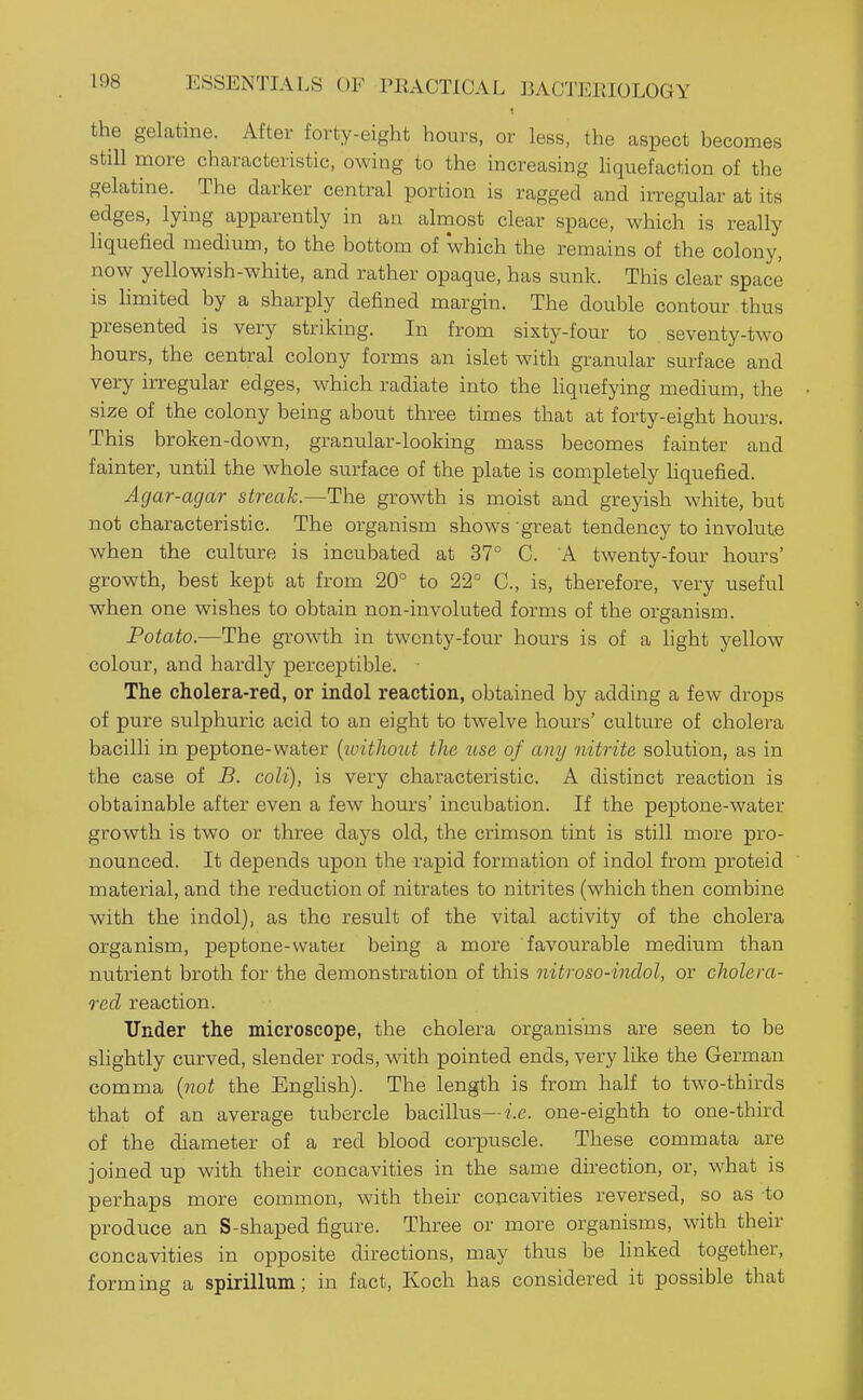 the gelatine. After forty-eight liours, or less, the aspect hecomes still more characteristic, owing to the increasing liquefaction of the gelatine. The darker central portion is ragged and irregular at its edges, lying apparently in an almost clear space, which is really liquefied medium, to the bottom of which the remains of the colony, now yellowish-white, and rather opaque, has sunk. This clear space is limited by a sharply defined margin. The double contour thus presented is very striking. In from sixty-four to seventy-two hours, the central colony forms an islet with granular surface and very irregular edges, which radiate into the hquefying medium, the size of the colony being about three times that at forty-eight hours. This broken-down, granular-looking mass becomes fainter and fainter, until the whole surface of the plate is completely liquefied. Agar-agar streak.—The growth is moist and greyish white, but not characteristic. The organism shows great tendency to involute when the culture is incubated at 37° C. A twenty-four hours' growth, best kept at from 20° to 22° C, is, therefore, very useful when one wishes to obtain non-involuted forms of the organism. Potato.—The growth in twenty-four hours is of a light yellow colour, and hardly perceptible. The cholera-red, or indol reaction, obtained by adding a few drops of pure sulphuric acid to an eight to twelve hours' culture of cholera bacilli in peptone-water {ivithojit the use of any nitrite solution, as in the case of B. coli), is very characteristic. A distinct reaction is obtainable after even a few hours' incubation. If the peptone-water growth is two or three days old, the crimson tint is still more pro- nounced. It depends upon the rapid foi'mation of indol from proteid material, and the reduction of nitrates to nitrites (which then combine with the indol), as the result of the vital activity of the cholera organism, peptone-watei being a more favourable medium than nutrient broth for the demonstration of this nitroso-inclol, or cholera- red reaction. Under the microscope, the cholera organisms are seen to be slightly curved, slender rods, with pointed ends, very like the German comma {not the EngHsh). The length is from half to two-thirds that of an average tubercle bacillus—/.e. one-eighth to one-third of the diameter of a red blood corpuscle. These commata are joined up with their concavities in the same direction, or, what is perhaps more common, with their concavities reversed, so as to produce an S-shaped figure. Three or more organisms, with their concavities in opposite directions, may thus be linked together, forming a spirillum; in fact, Koch has considered it possible that