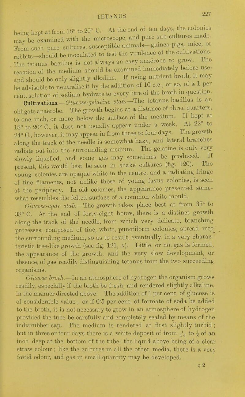 TETANUS beins kept at from 18° to 20° C. At the end of ten days, the colonies may be examined with the microscope, and pure sub-cultures made. From such pure cultures, susceptible animals-guinea-pigs mice, or rabbits-should be inoculated to test the virulence of the cultivatioins. The tetanus bacillus is not always an easy anaerobe to grow. Ihe ■ i-eaction of the medium should be examined immediately before use, and should be only shghtly alkaline. If using nutrient broth it may be advisable to neutralise it by the addition of 10 c.c, or so, of a 1 per cent, solution of sodium hydrate to every htre of the broth m question. GnltiY?itions.^Glucose-gelatme stab.—The tetanus bacillus is an obligate anaerobe. The growth begins at a distance of three quarters, to one inch, or more, below the surface of the medmm. If kept at 18° to 20° G., it does not usually appear under a week. At 22° to 24° C, however, it may appear in from three to four days. The growth along the track of the needle is somewhat hazy, and lateral branches radiate out into the surrounding medium. The gelatine is only very slowly Uquefied, and some gas may sometimes be produced. If present, this would best be seen in shake cultures (fig. 120). The young colonies are opaque white in the centre, and a radiating fringe of fine filaments, not unhke those of young favus colonies, is seen at the periphery. In old colonies, the appearance presented some- what resembles the felted surface of a common white mould. Glucose-agar stab.—The growth takes place best at from 37° to 38° C. At the end of forty-eight hours, there is a distinct growth along the track of the needle, from which very dehcate, branching processes, composed of fine, white, punctiform colonies, spread into^ the surrounding medium, so as to result, eventually, in a very charac- teristic tree-like growth (see fig. 121, a). Little, or no, gas is formed, the appearance of the growth, and the very slow development, or absence, of gas readily distinguishing tetanus from the two succeeding organisms. Glucose broth.—In an atmosphere of hydrogen the organism, grows readily, especially if the broth be fresh, and rendered slightly alkaline, in the manner directed above. The addition of 1 per cent, of glucose is of considerable value ; or if 0'5 per cent, of formate of soda be added to the broth, it is not necessary to grow in an atmosphere of hydrogen provided the tube be carefully and completely sealed by means of the indiarubber cap. The medium is rendered at first slightly turbid ; but in three or four days there is a white deposit of from /g- to ^ of an inch deep at the bottom of the tube, the liquid above being of a clear straw colour; like the cultures in all the other media, there is a very fcfitid odour, and gas in small quantity may be developed. Q 2