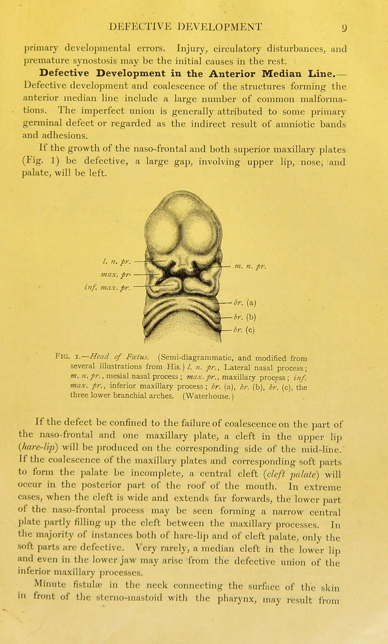 primary developntiental errors. Injury^ circulatory disturbances, and premature synostosis may be the initial causes in the rest. Defective Development in the Anterior Median Line.— Defective development and coalescence of the structures forming the anterior median line include a large number of common malforma- tions. The imperfect union is generally attributed to some primary germinal defect or regarded as the indirect result of amniotic bands and adhesions. If the growth of the naso-frontal and both superior maxillary plates (Fig. 1) be defective, a large gap, involving upper lip, nose, and palate, will be left. inf. Fig. x.—Head of Fcetus. (Semi-diagrammatic, and modified from several illustrations from His.) /. n. pr.. Lateral nasal process; »z. mesial nasal process ; OTa.r.maxillary process; inf. max. pr., inferior maxillary process; br. (a), br. (b), br. (c), the three lower branchial arches. (Waterhouse.) If the defect be confined to the failure of coalescence on the jjart of the naso-frontal and one maxillary plate, a cleft in the upper lip {hare-lip) will be produced on the corresponding side of the mid-line.' If the coalescence of the maxillary plates and corresponding soft parts to form the palate be incomplete, a central cleft {cleft palate) will occur in the posterior part of the roof of the mouth. In extreme cases, when the cleft is wide and extends far forwards, the lower part of the naso-frontal process may be seen forming a narrow central I)late partly filling up the cleft between the maxillary processes. In the majority of instances both of hare-lip and of cleft palate, only the soft parts are defective. Very rarely, a median cleft in the lower lip and even in tlie lower jaw may arise from the defective union of the inferior maxillary processes. Minute fistula; in the neck connecting the surface of the skin in front of the sterno-mastoid with the pharynx, may result from