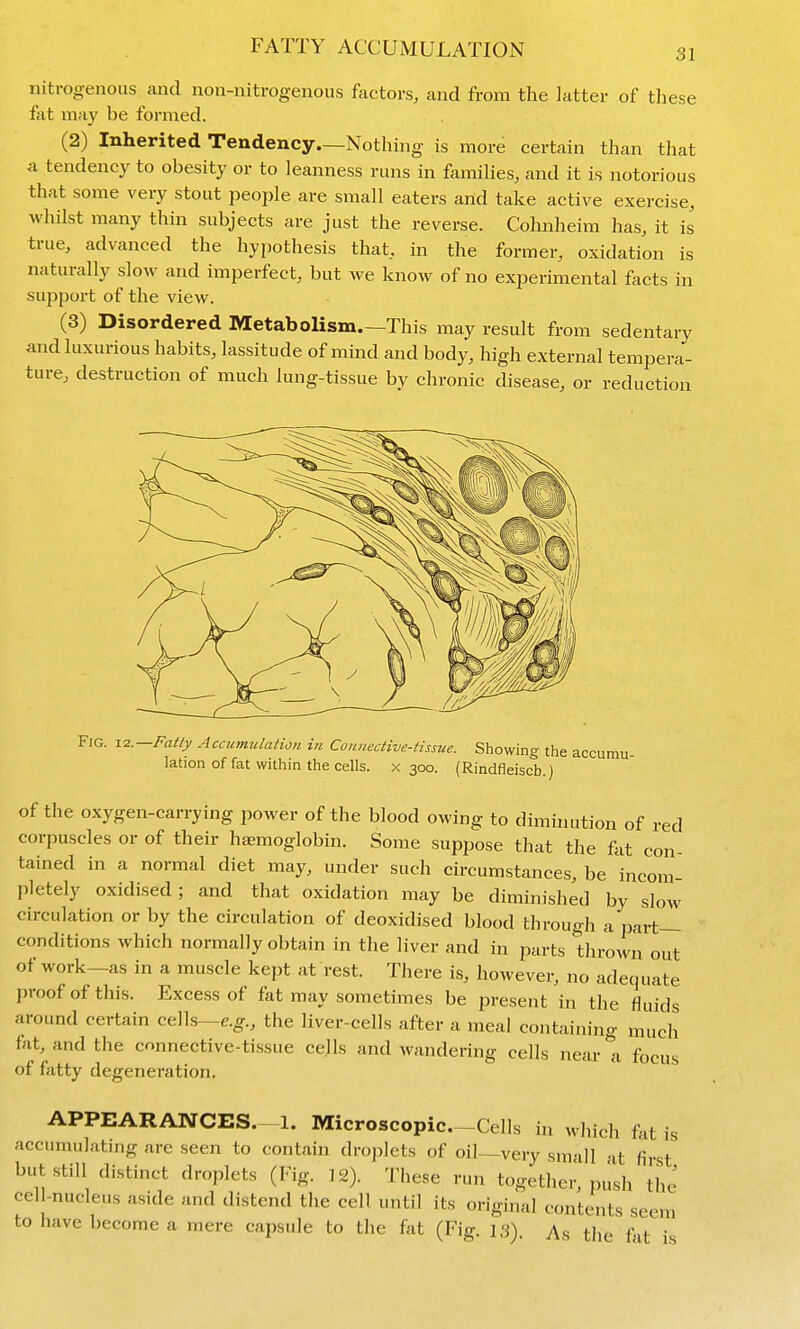 FATTY ACCUMULATION nitrogenous and non-nitrogenous factors, and from the latter of these fat may be formed. (2) Inherited Tendency—Nothing is more certain than that a tendency to obesity or to leanness runs in families, and it is notorious that some very stout people are small eaters and take active exercise, whilst many thin subjects are just the reverse. Cohnheim has, it is true, advanced the hypothesis that, in the former, oxidation is naturally slow and imperfect, but we know of no experimental facts in support of the view. (3) Disordered Metabolism.—This may result from sedentary and luxurious habits, lassitude of mind and body, high external tempera- ture, destruction of much lung-tissue by chronic disease, or reduction Fig. 1.2.—Fatly Accumulation in Connective-tissue. Showing the accumu- lation of fat within the cells, x 300. (Rindfleiscb.) of the oxygen-carrying power of the blood owing to diminution of red corpuscles or of their haemoglobin. Some suppose that the fat con- tained in a normal diet may, under such circumstances, be incom pletely oxidised ; and that oxidation may be diminished by slow circulation or by the circulation of deoxidised blood through a part- conditions which normally obtain in the liver and in parts thrown out of work—as in a muscle kept at rest. There is, however, no adequate proof of this. Excess of fat may sometimes be present in the fluids around certain cells—c.^., the liver-cells after a meal containing much fat, and the connective-tissue cells and wandering cells near a focus of fatty degeneration. APPEARANCES. 1. Microscopic-Cells in which fat is accumulating are seen to contain droplets of oil—very small at first but still distinct droplets (Fig. 12). These run together, pilsh the cell-nucleus aside and distend the cell until its original contents seem to have become a mere capsule to the fat (Fig. 13). As the fat is