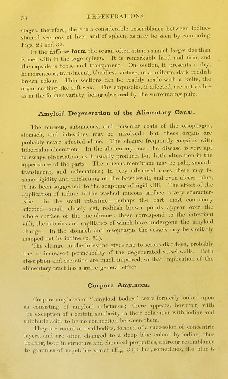 stao-es^ therefore, there is a considerable resemblance between iodine- stained sections of liver and of spleen, as may be seen by comparing Figs. 29 and 32. In the diffuse form the organ often attains a mucli larger size than is met with in the sago spleen. It is remarkably liard and firm, and the capsule is tense and transparent. On section, it presents a dry, homogeneous, translucent, bloodless surface, of a uniform, dark reddish brown colour. Thin sections can be readily made with a knife, the organ cutting like soft wax. The corpuscles, if affected, are not visible in the former variety, being obscured by the surrounding pulp. Amyloid Degeneration of the Alimentary Canal. The mucous, submucous, and muscular coats of the oesophagus, stomach, and intestines may be involved; but these organs are probably never affected alone. The change frequently co-exists with tubercular ulceration. In the ahmentary tract the disease is very apt to escape observation, as it usually produces but little alteration in the appearance of the parts. The mucous membrane may be jjale, smooth, translucent, and cedematous ; in very advanced cases there may be some rigidity and thickening of the bowel-wall, and even ulcers—due, it has been suggested, to the snapping of rigid villi. The efiFect of the application of iodine to the washed mucous surface is very character- istic. In the small intestine—perhaps the part most commonly affected—small, closely set, reddish brown points appear over the whole surface of the membrane ; these correspond to the intestinal villi, the arteries and capillaries of which have undergone the amyloid change. In the stomach and oesophagus the vessels may be similarly mapped out by iodine (p. 51). The change in the intestine gives rise to serous diarrhoea, probably due to increased permeability of the degenerated vessel-walls. Both absorption and secretion are much impaired, so that implication of the alimentary tract has a grave general effect. Corpora Amylacea. Corpora amylacea or  amyloid bodies  were formerly looked upon as consisting of amyloid substance; there ajipears, however, with he exception of a certain similarity in their behaviour with iodine and sulphuric acid, to be no connection between them. They are round or oval bodies, formed of a succession of concentric layers, and are often changed to a deep blue colour by iodine, thus bearing, both in structure and chemical ])roperties, a strong resemblance to granules of vegetable starch (Fig. 33); but, sometimes, the blue is