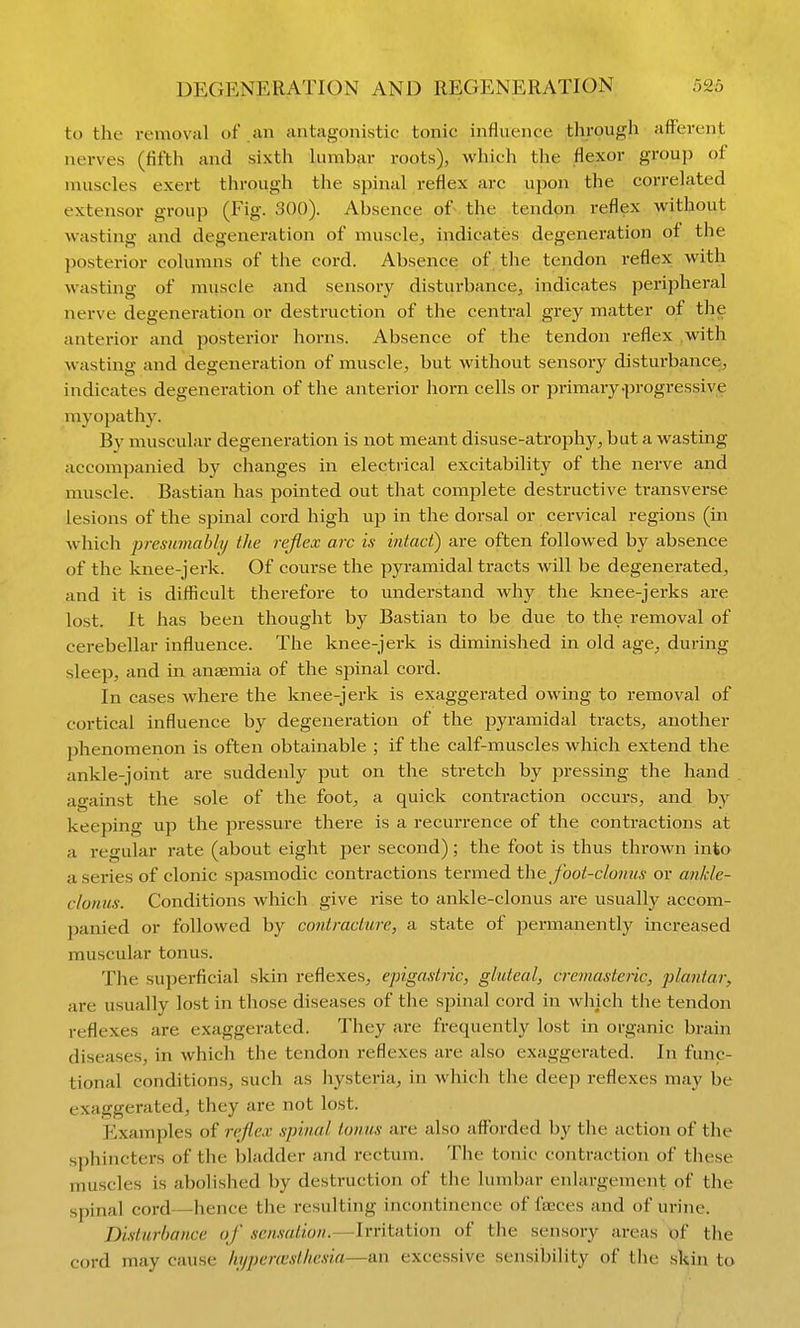 to the i-emoval of an antagonistic tonic influence through afferent nerves (fifth and sixth lumbar roots), which the flexor group of muscles exert through the spinal reflex arc upon the correlated extensor group (Fig. 300). Absence of the tendon reflex without wasting and degeneration of muscle, indicates degeneration of the posterior columns of the cord. Absence of the tendon reflex with wasting of muscle and sensory disturbance, indicates peripheral nerve degeneration or destruction of the central grey matter of the anterior and posterior horns. Absence of the tendon reflex with wasting and degeneration of muscle, but without sensory disturbance, indicates degeneration of the anterior horn cells or primary-progressive myopathy. By muscular degeneration is not meant disuse-atrophy, but a wasting accompanied by changes in electrical excitability of the nerve and muscle. Bastian has pointed out that complete destructive transverse lesions of the spinal cord high up in the dorsal or cervical regions (in which presumably the reflex arc is intact) are often followed by absence of the knee-jerk. Of coiu-se the pyramidal tracts will be degenerated, and it is difficult therefore to understand why the knee-jerks are lost. It has been thought by Bastian to be due to the removal of cerebellar influence. The knee-jerk is diminished in old age, during sleep, and in anaemia of the spinal cord. In cases where the knee-jerk is exaggerated owing to removal of cortical influence by degeneration of the pyramidal tracts, another phenomenon is often obtainable ; if the calf-muscles which extend the ankle-joint are suddenly put on the stretch by pressing the hand against the sole of the foot, a quick contraction occurs, and by keeping up the pressure there is a recurrence of the contractions at a regular rate (about eight per second); the foot is thus thrown into a series of clonic spasmodic contractions termed t\\e foot-clonus or ankle- clonus. Conditions which give rise to ankle-clonus are usually accom- panied or followed by contracture, a state of permanently increased muscular tonus. The superficial skin reflexes, epigastric, gluteal, cremasteric, pkmtar, are usually lost in those diseases of the spinal cord in wliich the tendon reflexes are exaggerated. They are frequently lost in organic brain diseases, in which the tendon reflexes are also exaggerated. In func- tional conditions, such as hysteria, in which the deep reflexes may be exaggerated, they are not lost. Examples of reflex spinal tonus are also affbrded by the action of the sphincters of the bladder and rectum. The tonic contraction of these muscles is abolished by destruction of the lumbar enlargement of the spinal cord—hence the resulting incontinence of fa;ces and of urine. Disturbance of sensation.—Irritation of the sensory areas of the cord may cause hijperaislhesia—an excessive sensibility of the sltin to
