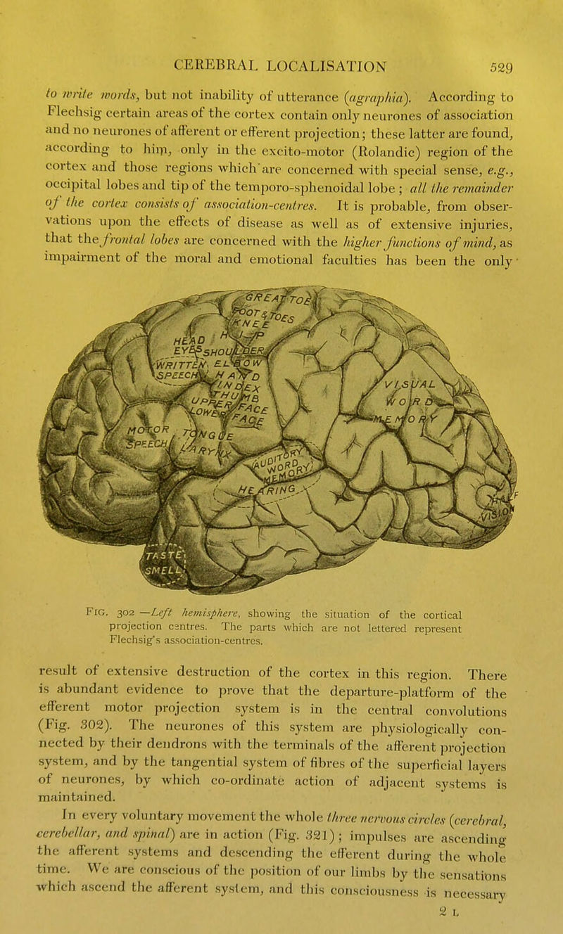 to write words, but not inability of utterance (rigrapkin). According to Flechsig certain areas of the cortex contain only neurones of association and no neurones of afferent or efferent projection; these latter are found, according to hiiTi, only in the excito-motor (Rolandic) region of the cortex and those regions which'are concerned with special sense, e.g., occipital lobes and tip of the temporo-sphenoidal lobe ; all the remainder of the cortex consists of association-centres. It is probable, from obser- vations upon the effects of disease as well as of extensive injuries, that the frontal lobes are concerned with the higher functions of mind, as impairment of the moral and emotional faculties has been the only • Fig. 302 —Left hemisphere, showing the situation of the cortical projection csntres. The parts which are not lettered represent Flechsig's association-centres. result of extensive destruction of the cortex in this region. There is abundant evidence to prove that the departure-platform of the efferent motor projection system is in the central convolutions (Fig. 302). The neurones of this system are physiologically con- nected by their dendrons with the terminals of the afferent projection system, and by the tangential system of fibres of the superficial layers of neurones, by which co-ordinate action of adjacent systems is maintained. In every voluntary movement the whole three nervous circles (cerebral, cerebellar, and .spinal) are in action (Fig. rJ21) ; impulses are ascending the afferent systems and descending the efferent during the whole time. We are conscious of the position of our limbs by the sensations which ascend the afferent system, and this consciousness is necessary 2 L