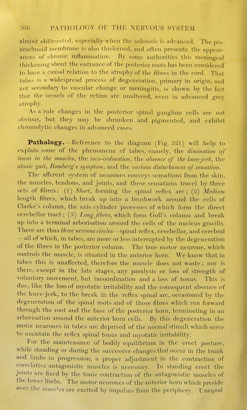 almost oblitemtcd, especially when the sclerosis is advanced. Tlie pia- arachnoid membrane is also thickened, and often presents the appear- ances of chronic inflammation. By some authorities this meningeal thickening about the entrance of the posterior roots has been considered to have a causal relation to the atrophy of the fibres in the cord. That tabes is a widespread process of degeneration, primary in origin, and not secondar}^ to vascular change or meningitis, is shown by the fact that the vessels of the retina are unaltered, even in advanced grey atrophy. ■ As a rule changes in the posterior spinal ganglion cells are not obvious, but they may be shrunken and pigmented, and exhibit chromolj^tic changes in advanced cases. Pathology.—Reference to the diagram (Fig. 321) will help to explain some of the phenomena of tabes, namely, the diimnution of tonus in the muscles, the inco-ordination, the absence of the knee-jerk, the ataxic gait, Romberg s symiHom, and the ranons disturbances of sensation. The afferent system of neurones conveys sensations from the skin, the muscles, tendons, and joints, and these sensations travel by three sets of fibres : (1) ShoH, forming the spinal reflex arc ; (2) Medium length fibres, which break up into a bnishwork around the cells of Clarke's column, the axis cylinder processes of which form the direct cerebellar tract; (3) Long fibres, which form Goll's column and break up into a terminal arborisation around the cells of the nucleus gracilis. There are thus three nervous circles—spinal reflex, cerebellar, and cerebral —all of which, in tabes, are more or less interrupted by the degeneration of the fibres in the posterior column. The true motor neurone, which controls the muscle, is situated in the anterior horn. We know that in tabes this is unaffected, therefore the muscle does not waste ; nor is there, except in the late stages, any paralysis or loss of strength of voluntary movement, but incoordination and a loss of tonus. This is due, like the loss of myotatic irritability and the consequent absence cf the knee-jerk, to the break in the reflex spinal arc, occasioned by the degeneration of the spinal roots and of those fibres which run forward through the root and the base of the posterior horn, terminating in an arborisation around the anterior horn cells. By this degeneration the motor neurones in tabes are deprived of the normal stimuli which serve to maintain the reflex spinal tonus and myotatic irritability. For the maintenance of bodily equilibrium in the erect posture, while standing or during the successive changes that occur in the trunk and limbs in progression, a proper adjustment in the contraction of correlative antagonistic muscles is necessary. In standing erect the joints are fixed hy the tonic contraction of the antagonistic muscles of the lower limbs. The motor neurones of the anterior horn which preside over the musc'es are excited by impulses from the periphery. Unequal