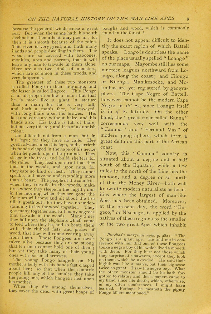 because the generall winds cause a great sea. But when the sunne hath his south declination, then a boat may goe in ; for then it is smooth because of the raine. This river is very great, and hath many iiands and people dwelling in them. The woods are so covered with baboones, monkies, apes and parrots, that it will feare any man to travaile in them alone. Here are also two kinds of monsters, which are common in these woods, and very dangerous. The greatest of these two monsters is called Pongo in their language, and the lesser is called Engeco. This Pongo is in all proportion like a man ; but that he is more like a giant in stature than a man ; for he is very tall, and hath a man's face, hollow-eyed, with long haire upon his browes. His face and eares are without haire, and his hands also. His bodie is full of haire, but not very thicke ; and it is of adunnish colour. He differeth not from a man but in his legs; tor they have no calfe. Hee gpeth alwaies upon his legs, and carrieth his hands clasped in the nape of his necke when he goeth upon the ground. They sleepe in the trees, and build shelters for the raine. They feed upon fruit that they find in the woods, and upon nuts, for they eate no kind of flesh. They cannot speake, and have no understanding more than a beast. The people of the countrie, when they travaile in the woods, make fires where they sleepe in the night; and in the morning when they are gone, the Pongoes will come and sit about the fire till it goeth out; for they have no under- standing to lay the wood together. They goe many together and kill many negroes that travaile in the woods. Many times they fall upon the elephants which come to feed where they be, and so beate them with their clubbed fists, and pieces of wood, that they will runne roaring away from them. Those Pongoes are never taken alive because they are so strong that ten men cannot hold one of them ; but yet they take many of their young ones with poisoned arrowes. The young Pongo hangeth on his mother's belly with his hands fast clasped about her; so that when the countrie people kill any of the females they take the young one, which hangeth fast upon his mother. When they die among themselves, they cover the dead with great heaps of boughs and wood, which is commonly found in the forest.1 It does not appear difficult to iden- tify the exact region of which Battell speaks. Longo is doubtless the name of the place usually spelled  Loango  on our maps. Mayombe still lies some nineteen leagues northward from Lo- ango, along the coast; and Cilongo or Kilonga, Manikesocke, and Mo- timbas are yet registered by geogra- phers. The Cape Negro of Battell, however, cannot be the modern Cape Negro in 160 S., since Loango itself is in 4° S. latitude. On the other hand, the great river called Banna corresponds very well with the  Camma  and  Fernand Vas  of modern geographers, which form great delta on this part of the African coast. Now, this  Camma country is situated about a degree and a half south of the Equator; while a few miles to the north of the Line lies the Gaboon, and a degree or so north of that the Money River—both well known to modern naturalists as local- ities where the largest of man-like Apes has been obtained. Moreover, at the present day, the word  En- geco, or N'schego, is applied by the natives of these regions to the smaller of the two great Apes which inhabit 1 Purchas's marginal note, p. 9S2 :— The Pongo is a giant ape. He told me in con- ference with him that one of these Pongoes tooke a negro boy of his which lived a moneth with them. For they hurt not those which they surprise at unawares, except they look on them, which he avoyded. He said their highth was like a man's, but their bignesse twice as great. I saw the negro boy. What the other monster should be he hath for- gotten to relate ; and these papers came to my hand since his death, which, otherwise, in my often conferences, I might have learned. Perhaps he meaneth the pigmy Pongo killers mentioned.