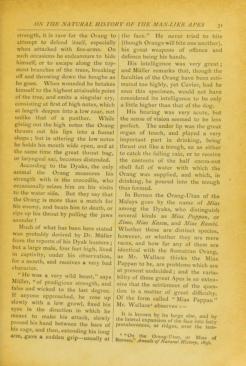 3» strength, it is rare for the Orang to attempt to defend itself, especially when attacked with fire-arms. On such occasions he endeavours to hide himself, or to escape along the top- most branches of the trees, breaking off and throwing down the boughs as he goes. When wounded he betakes himself to the highest attainable point of the tree, and emits a singular cry, consisting at first of high notes, which at length deepen into a low roar, not unlike that of a panther. While giving out the high notes the Orang thrusts out his lips into a funnel shape ; but in uttering the low notes he holds his mouth wide open, and at the same time the great throat bag, or laryngeal sac, becomes distended. According to the Dyaks, the only animal the Orang measures his strength with is the crocodile, who occasionally seizes him on his visits to the water side. But they say that the Orang is more than a match for his enemy, and beats him to death, or rips up his throat by pulling the jaws asunder! Much of what has been here stated was probably derived by Dr. Muller from the reports of his Dyak hunters ; but a large male, four feet high, lived in captivity, under his observation, for a month, and receives a very bad character. He was a very wild beast, says Muller, of prodigious strength, and false and wicked to the last degree. If anyone approached, he rose up slowly with a low growl, fixed his eyes in the direction in which he meant to make his attack, slowly passed his hand between the bars of his cage, and then, extending his long arm, gave a sudden grip—usually at the face. He never tried to bite (though Orangs will bite one another), his great weapons of offence and defence being his hands. His intelligence was very great ; and Muller remarks that, though the faculties of the Orang have been esti- mated too highly, yet Cuvier, had he seen this specimen, would not have considered its intelligence to be only a little higher than that of the dog. His hearing was very acute, but the sense of vision seemed to be less perfect. The under lip was the great organ of touch, and played a very important part in drinking, being thrust out like a trough, so as either to catch the falling rain, or to receive the contents of the half cocoa-nut shell full of water with which the Orang was supplied, and which, in drinking, he poured into the trough thus formed. In Borneo the Orang-Utan of the Malays goes by the name of Mias among the Dyaks, who distinguish several kinds as Mias Pappan, or Zimo, Mias Kassu, and Mias Rambi. Whether these are distinct species, however, or whether they are mere races, and how far any of them are identical with the Sumatran Orang, as Mr. Wallace thinks the Mias Pappan to be, are problems which are at present undecided ; and the varia- bility of these great Apes is so exten- sive that the settlement of the ques- tion is a matter of great difficulty. Of the form called  Mias Pappan  Mr. Wallace1 observes :— It is known by its large shr, and by the lateral expansion of the face into fatty protuberances, or ridges, over the tem- Rnrn'0. i'^ ,0r™g-Vt™, OV MiaS of Borneo, Annals of Natural History, 1856.