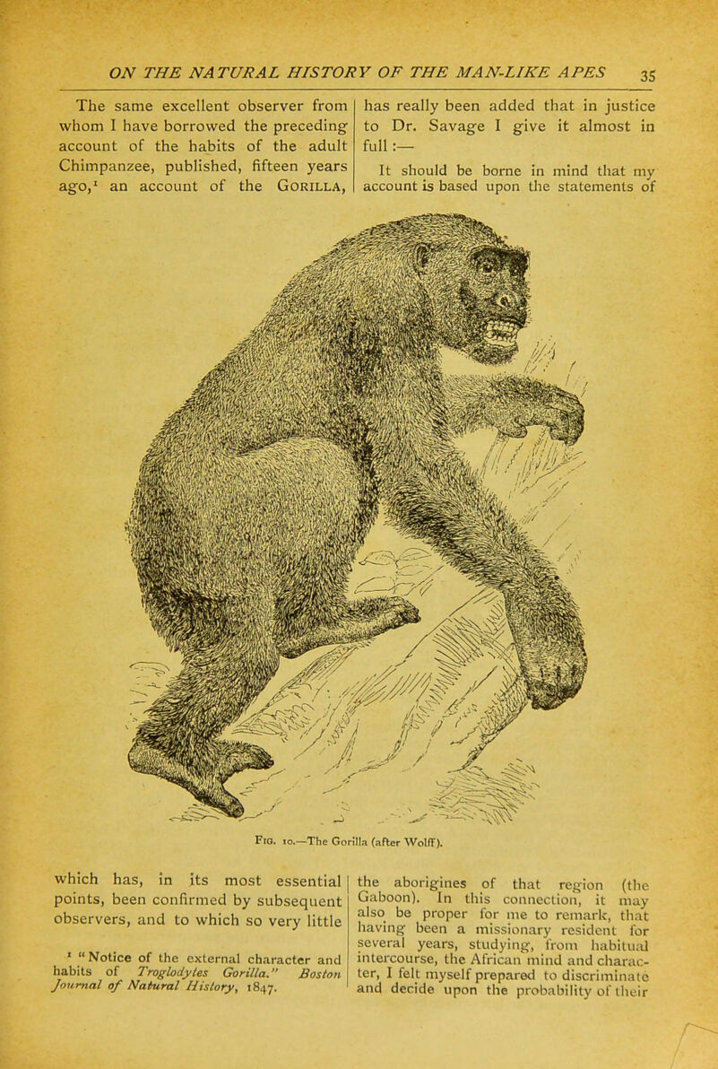 The same excellent observer from whom I have borrowed the preceding account of the habits of the adult Chimpanzee, published, fifteen years ago,1 an account of the Gorilla, has really been added that in justice to Dr. Savage I give it almost in full :— It should be borne in mind that my account is based upon the statements of Fig. io.—The Gorilla (after Wolff). which has, in its most essential points, been confirmed by subsequent observers, and to which so very little 1 Notice of the external character and habits of Troglodytes Gorilla. Boston Journal of Natural History, 1847. the aborigines of that region (the Gaboon). In this connection, it may also be proper for me to remade, that having been a missionary resident for several years, studying, from habitual intercourse, the African mind and charac- ter, I felt myself prepared to discriminate and decide upon the probability of their