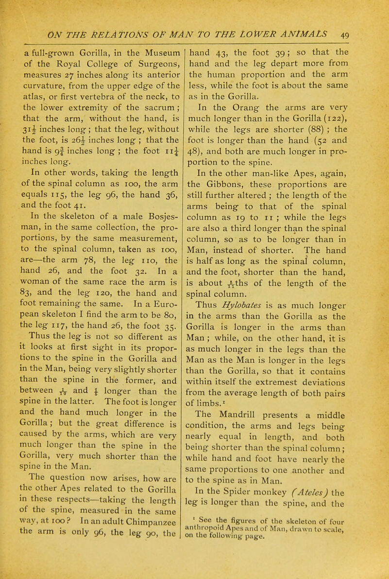 a full-grown Gorilla, in the Museum of the Royal College of Surgeons, measures 27 inches along its anterior curvature, from the upper edge of the atlas, or first vertebra of the neck, to the lower extremity of the sacrum ; that the arm, without the hand, is 31^ inches long ; that the leg, without the foot, is 26J inches long ; that the hand is gf inches long ; the foot 11 \ inches long. In other words, taking the length of the spinal column as 100, the arm equals 115, the leg 96, the hand 36, and the foot 41. In the skeleton of a male Bosjes- man, in the same collection, the pro- portions, by the same measurement, to the spinal column, taken as 100, are—the arm 78, the leg 110, the hand 26, and the foot 32. In a woman of the same race the arm is 83, and the leg 120, the hand and foot remaining the same. In a Euro- pean skeleton I find the arm to be 80, the leg 117, the hand 26, the foot 35. Thus the leg is not so different as it looks at first sight in its propor- tions to the spine in the Gorilla and in the Man, being very slightly shorter than the spine in the former, and between ^ and 1 longer than the spine in the latter. The foot is longer and the hand much longer in the Gorilla; but the great difference is caused by the arms, which are very much longer than the spine in the Gorilla, very much shorter than the spine in the Man. The question now arises, how are the other Apes related to the Gorilla in these respects—taking the length of the spine, measured in the same way, at 100 ? In an adult Chimpanzee the arm is only 96, the leg 90, the hand 43, the foot 39; so that the hand and the leg depart more from the human proportion and the arm less, while the foot is about the same as in the Gorilla. In the Orang the arms are very much longer than in the Gorilla (122), while the legs are shorter (88) ; the foot is longer than the hand (52 and 48), and both are much longer in pro- portion to the spine. In the other man-like Apes, again, the Gibbons, these proportions are still further altered ; the length of the arms being to that of the spinal column as 19 to 11 ; while the legs are also a third longer than the spinal column, so as to be longer than in Man, instead of shorter. The hand is half as long as the spinal column, and the foot, shorter than the hand, is about ^ths of the length of the spinal column. Thus Hylobates is as much longer in the arms than the Gorilla as the Gorilla is longer in the arms than Man ; while, on the other hand, it is as much longer in the legs than the Man as the Man is longer in the legs than the Gorilla, so that it contains within itself the extremest deviations from the average length of both pairs of limbs.1 The Mandrill presents a middle condition, the arms and legs being nearly equal in length, and both being shorter than the spinal column; while hand and foot have nearly the same proportions to one another and to the spine as in Man. In the Spider monkey (Ateles) the leg is longer than the spine, and the ' See the figures of the skeleton of four anthropoid Apes and of Man, drawn to scale, on the following- page.