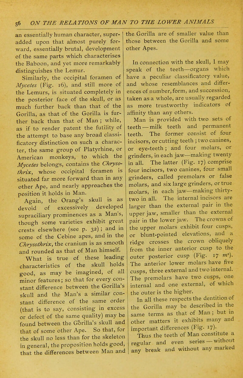 an essentially human character, super- added upon that almost purely for- ward, essentially brutal, development of the same parts which characterises the Baboon, and yet more remarkably distinguishes the Lemur. Similarly, the occipital foramen of Mycetes (Fig. 16), and still more of the Lemurs, is situated completely in the posterior face of the skull, or as much further back than that of the Gorilla, as that of the Gorilla is fur- ther back than that of Man ; while, as if to render patent the futility of the attempt to base any broad classi- ficatory distinction on such a charac- ter, the same group of Platyrhine, or American monkeys, to which the Mycetes belongs, contains the Chryso- thrix, whose occipital foramen is situated far more forward than in any other Ape, and nearly approaches the position it holds in Man. Again, the Orang's skull is as devoid of excessively developed supraciliary prominences as a Man's, though some varieties exhibit great crests elsewhere (see p. 32) ; and in some of the Cebine apes, and in the Chrysothrix, the cranium is as smooth and rounded as that of Man himself. What is true of these leading characteristics of the skull holds good, as may be imagined, of all minor features; so that for every con- stant difference between the Gorilla's skull and the Man's a similar con- stant difference of the same order (that is to say, consisting in excess or defect of the same quality) may be found between the Gorilla's skull and that of some other Ape. So that, for the skull no less than for the skeleton in general, the proposition holds good, that the differences between Man and the Gorilla are of smaller value than those between the Gorilla and some other Apes. In connection with the skull, I may speak of the teeth—organs which have a peculiar classificatory value, and whose resemblances and differ- ences of number, form, and succession, taken as a whole, are usually regarded as more trustworthy indicators of affinity than any others. Man is provided with two sets of teeth — milk teeth and permanent teeth. The former consist of four incisors, or cutting teeth ; two canines, or eye-teeth; and four molars, or grinders, in each jaw—making twenty in all. The latter (Fig. 17) comprise four incisors, two canines, four small grinders, called premolars or false molars, and six large grinders, or true molars, in each jaw—making thirty- two in all. The internal incisors are larger than the external pair in the upper jaw, smaller than the external pair in the lower jaw. The crowns of the upper molars exhibit four cusps, or blunt-pointed elevations, and a ridge crosses the crown obliquely from the inner anterior cusp to the outer posterior cusp (Fig. 17 m2). The anterior lower molars have five cusps, three external and two internal. The premolars have two cusps, one internal and one external, of which the outer is the higher. In all these respects the dentition of the Gorilla may be described in the same terms as that of Man ; but in other matters it exhibits many and important differences (Fig. 17)- Thus the teeth of Man constitute a regular and even series— without anv break and without any marked