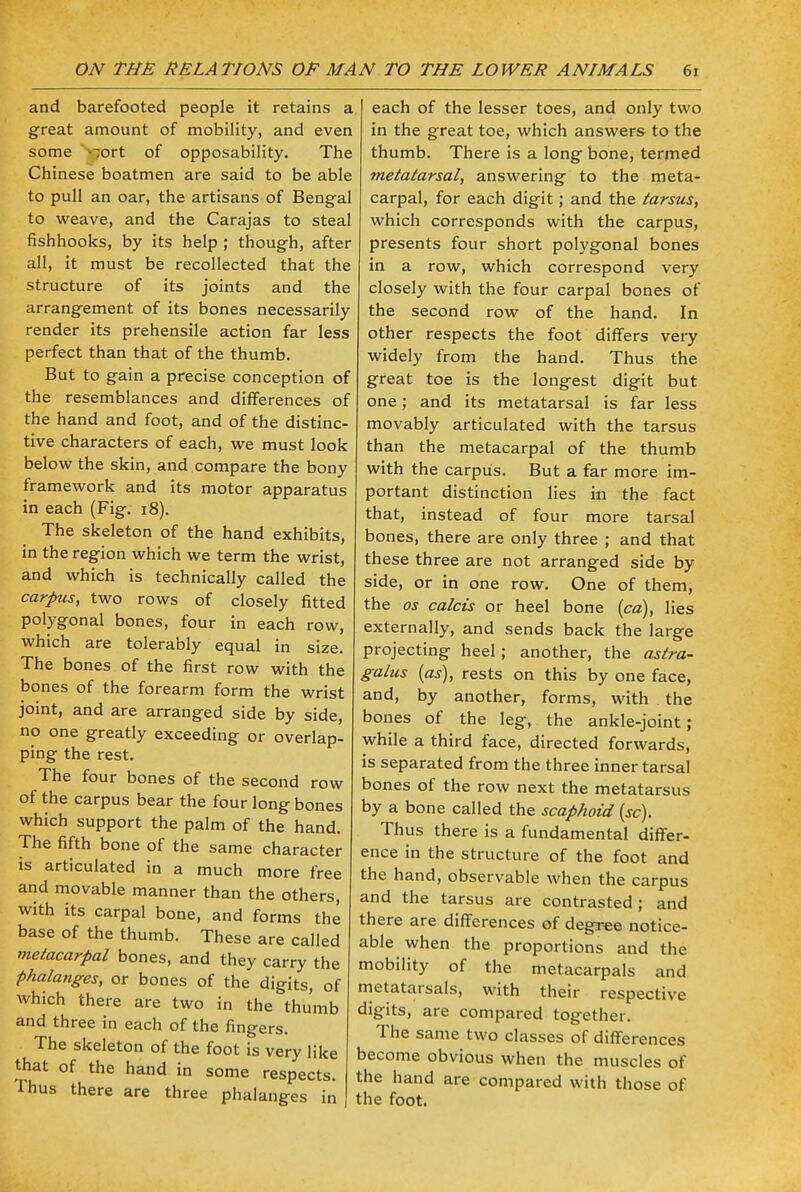 and barefooted people it retains a great amount of mobility, and even some >7ort of opposability. The Chinese boatmen are said to be able to pull an oar, the artisans of Bengal to weave, and the Carajas to steal fishhooks, by its help ; though, after all, it must be recollected that the structure of its joints and the arrangement of its bones necessarily render its prehensile action far less perfect than that of the thumb. But to gain a precise conception of the resemblances and differences of the hand and foot, and of the distinc- tive characters of each, we must look below the skin, and compare the bony framework and its motor apparatus in each (Fig. 18). The skeleton of the hand exhibits, in the region which we term the wrist, and which is technically called the carpus, two rows of closely fitted polygonal bones, four in each row, which are tolerably equal in size. The bones of the first row with the bones of the forearm form the wrist joint, and are arranged side by side, no one greatly exceeding or overlap- ping the rest. The four bones of the second row of the carpus bear the four long bones which support the palm of the hand. The fifth bone of the same character is articulated in a much more free and movable manner than the others, with its carpal bone, and forms the base of the thumb. These are called metacarpal bones, and they carry the phalanges, or bones of the digits, of which there are two in the thumb and three in each of the fingers. The skeleton of the foot is very like that of the hand in some respects. Thus there are three phalanges in each of the lesser toes, and only two in the great toe, which answers to the thumb. There is a long bone, termed metatarsal, answering to the meta- carpal, for each digit; and the tarsus, which corresponds with the carpus, presents four short polygonal bones in a row, which correspond very closely with the four carpal bones of the second row of the hand. In other respects the foot differs very widely from the hand. Thus the great toe is the longest digit but one; and its metatarsal is far less movably articulated with the tarsus than the metacarpal of the thumb with the carpus. But a far more im- portant distinction lies in the fact that, instead of four more tarsal bones, there are only three ; and that these three are not arranged side by side, or in one row. One of them, the os calcis or heel bone (ca), lies externally, and sends back the large projecting heel; another, the astra- galus (as), rests on this by one face, and, by another, forms, with the bones of the leg, the ankle-joint; while a third face, directed forwards, is separated from the three inner tarsal bones of the row next the metatarsus by a bone called the scaphoid (sc). Thus there is a fundamental differ- ence in the structure of the foot and the hand, observable when the carpus and the tarsus are contrasted; and there are differences of degree notice- able when the proportions and the mobility of the metacarpals and metatarsals, with their respective digits, are compared together. The same two classes of differences become obvious when the muscles of the hand are compared with those of the foot.