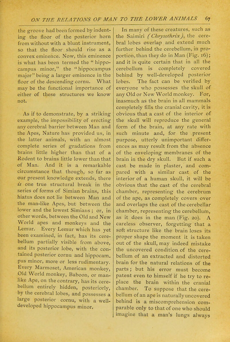 the groove had been formed by indent- ing the floor of the posterior horn from without with a blunt instrument, so that the floor should rise as a convex eminence. Now, this eminence is what has been termed the  hippo- campus minor, the hippocampus major being a larger eminence in the floor of the descending cornu. What may be the functional importance of either of these structures we know not. As if to demonstrate, by a striking example, the impossibility of erecting any cerebral barrier between Man and the Apes, Nature has provided us, in the latter animals, with an almost complete series of gradations from brains little higher than that of a Rodent to brains little lower than that of Man. And it is a remarkable circumstance that though, so far as our present knowledge extends, there is one true structural break in the series of forms of Simian brains, this hiatus does not lie between Man and the man-like Apes, but between the lower and the lowest Simians ; or, in other words, between the Old and New World apes and monkeys and the Lemur. Every Lemur which has yet been examined, in fact, has its cere- bellum partially visible from above, and its posterior lobe, with the con- tained posterior cornu and hippocam. pus minor, more or less rudimentary. Every Marmoset, American monkey, Old World monkey, Baboon, or man- like Ape, on the contrary, has its cere- bellum entirely hidden, posteriorly, by the cerebral lobes, and possesses a large posterior cornu, with a well- developed hippocampus minor. In many of these creatures, such as the Saimiri (Chrysothrix), the cere- bral lobes overlap and extend much further behind the cerebellum, in pro- portion, than they do in Man (Fig. 16); and it is quite certain that in all the cerebellum is completely covered behind by well-developed posterior lobes. The fact can be verified by everyone who possesses the skull of any Old or New World monkey. For, inasmuch as the brain in all mammals completely fills the cranial cavity, it is obvious that a cast of the interior of the skull will reproduce the general form of the brain, at any rate with such minute and, for the present purpose, utterly unimportant differ- ences as may result from the absence of the enveloping membranes of the brain in the dry skull. But if such a cast be made in plaster, and com- pared with a similar cast of the interior of a human skull, it will be obvious that the cast of the cerebral chamber, representing the cerebrum of the ape, as completely covers over and overlaps the cast of the cerebellar chamber, representing the cerebellum, as it does in the man (Fig. 20). A careless observer, forgetting that a soft structure like the brain loses its proper shape the moment it is taken out of the skull, may indeed mistake the uncovered condition of the cere- bellum of an extracted and distorted brain for the natural relations of the parts; but his error must become patent even to himself if he try to re- place the brain within the cranial chamber. To suppose that the cere- bellum of an ape is naturallyuncovered behind is a miscomprehension com- parable only to that of one who should imagine that a man's lungs always