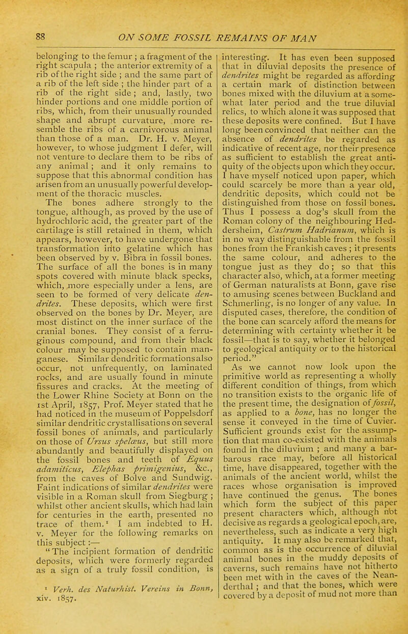belonging to the femur ; a fragment of the right scapula ; the anterior extremity of a rib of the right side ; and the same part of a rib of the left side ; the hinder part of a rib of the right side ; and, lastly, two hinder portions and one middle portion of ribs, which, from their unusually rounded shape and abrupt curvature, more re- semble the ribs of a carnivorous animal than those of a man. Dr. H. v. Meyer, however, to whose judgment I defer, will not venture to declare them to be ribs of any animal; and it only remains to suppose that this abnormal condition has arisen from an unusually powerful develop- ment of the thoracic muscles. The bones adhere strongly to the tongue, although, as proved by the use of hydrochloric acid, the greater part of the cartilage is still retained in them, which appears, however, to have undergone that transformation irito gelatine which has been observed by v. Bibra in fossil bones. The surface of all the bones is in many spots covered with minute black specks, which, more especially under a lens, are seen to be formed of very delicate den- drites. These deposits, which were first observed on the bones by Dr. Meyer, are most distinct on the inner surface of the cranial bones. They consist of a ferru- ginous compound, and from their black colour may be supposed to contain man- ganese. Similar dendritic formations also occur, not unfrequently, on laminated rocks, and are usually found in minute fissures and cracks. At the meeting of the Lower Rhine Society at Bonn on the ist April, 1857, Prof. Meyer stated that he had noticed in the museum of Poppelsdorf similar dendritic crystallisations on several fossil bones of animals, and particularly on those of Ursus spelceus, but still more abundantly and beautifully displayed on the fossil bones and teeth of Equus adamiticus, Elephas primigenius, &c, from the caves of Bolve and Sundwig. Faint indications of similar dendrites were visible in a Roman skull from Siegburg ; whilst other ancient skulls, which had lain for centuries in the earth, presented no trace of them.1 I am indebted to H. v. Meyer for the following remarks on this subject:— The incipient formation of dendritic deposits, which were formerly regarded as a sign of a truly fossil condition, is 1 Verh. des Naturhist. Vereins in Bonn, xiv. 1857. interesting. It has even been supposed that in diluvial deposits the presence of dendrites might be regarded as affording a certain mark of distinction between bones mixed with the diluvium at a some- what later period and the true diluvial relics, to which alone it was supposed that these deposits were confined. But I have long been convinced that neither can the absence of dendrites be regarded as indicative of recent age, nor their presence as sufficient to establish the great anti- quity of the objects upon which they occur. I have myself noticed upon paper, which could scarcely be more than a year old, dendritic deposits, which could not be distinguished from those on fossil bones. Thus I possess a dog's skull from the Roman colony of the neighbouring Hed- dersheim, Castrum Hadrianum, which is in no way distinguishable from the fossil bones from the Frankish caves ; it presents the same colour, and adheres to the tongue just as they do; so that this character also, which, at a former meeting of German naturalists at Bonn, gave rise to amusing scenes between Buckland and Schmerling, is no longer of any value. In disputed cases, therefore, the condition of the bone can scarcely afford the means for determining with certainty whether it be fossil—that is to say, whether it belonged to geological antiquity or to the historical period. As we cannot now look upon the primitive world as representing a wholly different condition of things, from which no transition exists to the organic life of the present time, the designation of fossil, as applied to a bone, has no longer the sense it conveyed in the time of Cuvier. Sufficient grounds exist for the assump- tion that man co-existed with the animals found in the diluvium ; and many a bar- barous race may, before all historical time, have disappeared, together with the animals of the ancient world, whilst the races whose organisation is improved have continued the genus. The bones which form the subject of this paper present characters which, although nbt decisive as regards a geological epoch, are, nevertheless, such as indicate a very high antiquity. It may also be remarked that, common as is the occurrence of diluvial animal bones in the muddy deposits of caverns, such remains have not hitherto been met with in the caves of the Nean- derthal ; and that the bones, which were covered by a deposit of mud not more than