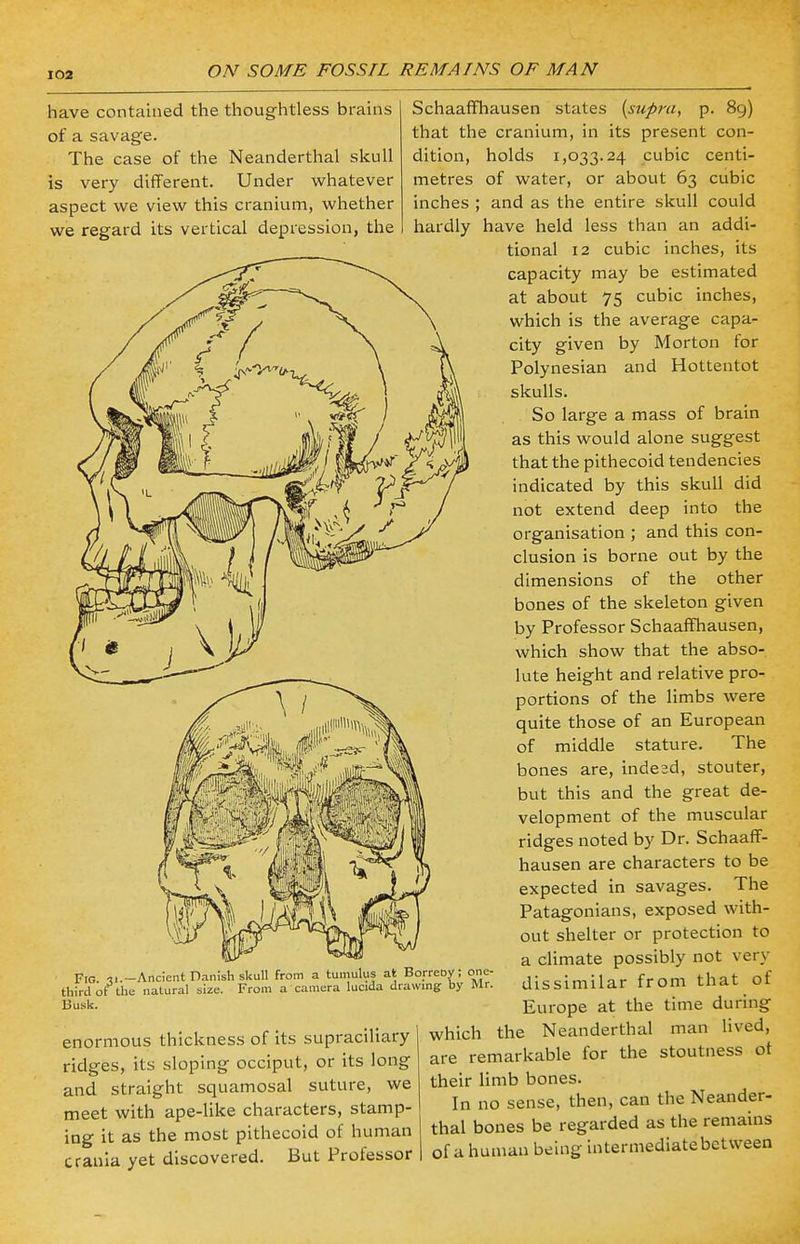 have contained the thoughtless brains of a savage. The case of the Neanderthal skull is very different. Under whatever aspect we view this cranium, whether we regard its vertical depression, the hardly Fig. 31.—Ancient Danish skull from a tumulus at BorreDy: one a. 31.- .. third or the natural size. Busk From a camera lucida drawing by Mr. enormous thickness of its supraciliary ridges, its sloping occiput, or its long and straight squamosal suture, we meet with ape-like characters, stamp- ing it as the most pithecoid of human crania yet discovered. But Professor Schaaffhausen states {supra, p. 89) that the cranium, in its present con- dition, holds 1,033.24 cubic centi- metres of water, or about 63 cubic inches ; and as the entire skull could have held less than an addi- tional 12 cubic inches, its capacity may be estimated at about 75 cubic inches, which is the average capa- city given by Morton for Polynesian and Hottentot skulls. So large a mass of brain as this would alone suggest that the pithecoid tendencies indicated by this skull did not extend deep into the organisation ; and this con- clusion is borne out by the dimensions of the other bones of the skeleton given by Professor Schaaffhausen, which show that the abso- lute height and relative pro- portions of the limbs were quite those of an European of middle stature. The bones are, indesd, stouter, but this and the great de- velopment of the muscular ridges noted by Dr. Schaaff- hausen are characters to be expected in savages. The Patagonians, exposed with- out shelter or protection to a climate possibly not very dissimilar from that of Europe at the time during which the Neanderthal man lived, are remarkable for the stoutness ot their limb bones. In no sense, then, can the Neander- thal bones be regarded as the remains of a human being intermediate between