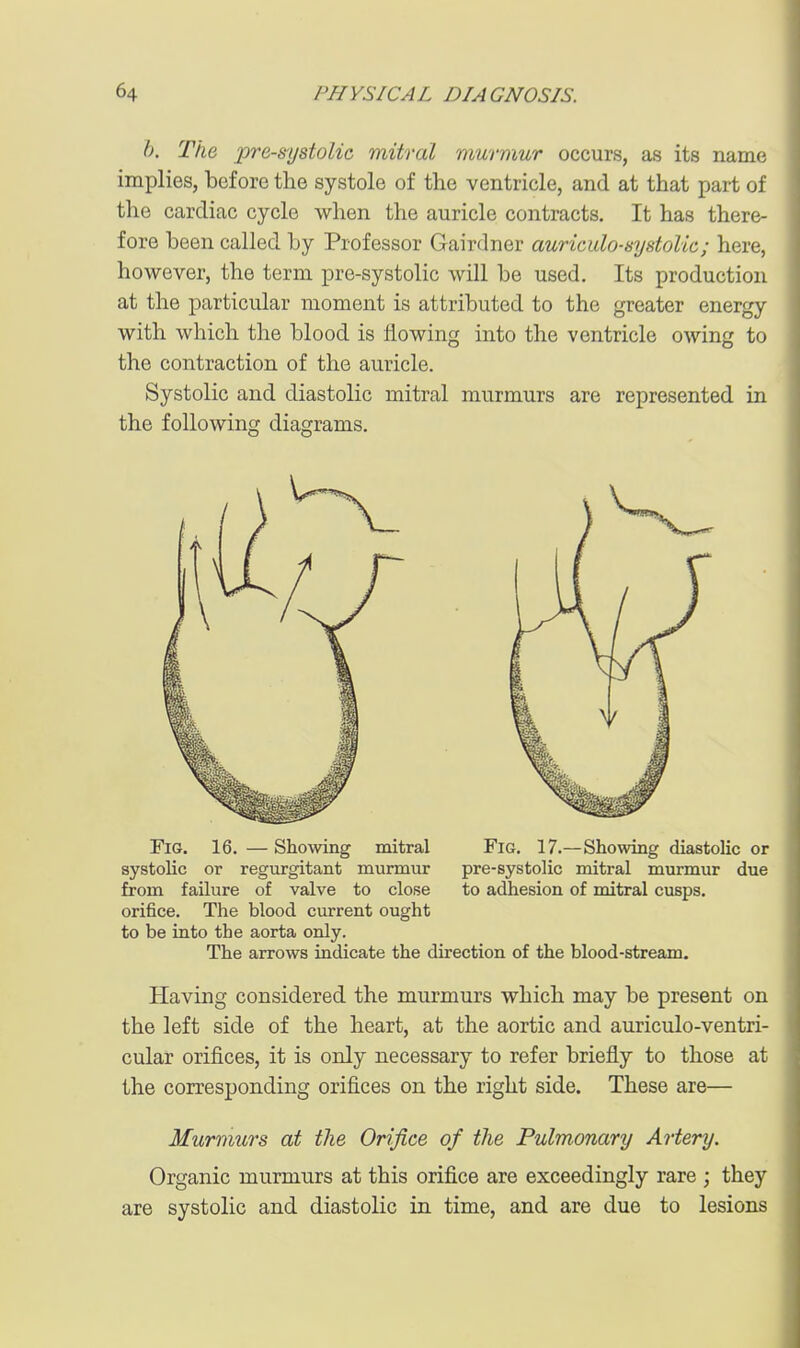 h. The presystolic mitral murmur occurs, as its name implies, before the systole of the ventricle, and at that part of the cardiac cycle when the auricle contracts. It has there- fore been called by Professor Gairdner auriculo-systolic; here, however, the term pre-systolic will be used. Its production at the particular moment is attributed to the greater energy with which the blood is flowing into the ventricle owing to the contraction of the auricle. Systolic and diastolic mitral murmurs are represented in the following diagrams. Fig. 16. — Showing mitral Fig. 17.—Showing diastolic or systolic or regurgitant murmur pre-systolic mitral murmur due from failure of valve to close to adhesion of mitral cusps, orifice. The blood current ought to be into the aorta only. The arrows indicate the direction of the blood-stream. Having considered the murmurs which may be present on the left side of the heart, at the aortic and auriculo-ventri- cular orifices, it is only necessary to refer briefly to those at the corresponding orifices on the right side. These are— Murmurs at the Orifice of the Pulmonary Artery. Organic murmurs at this orifice are exceedingly rare ; they are systolic and diastolic in time, and are due to lesions